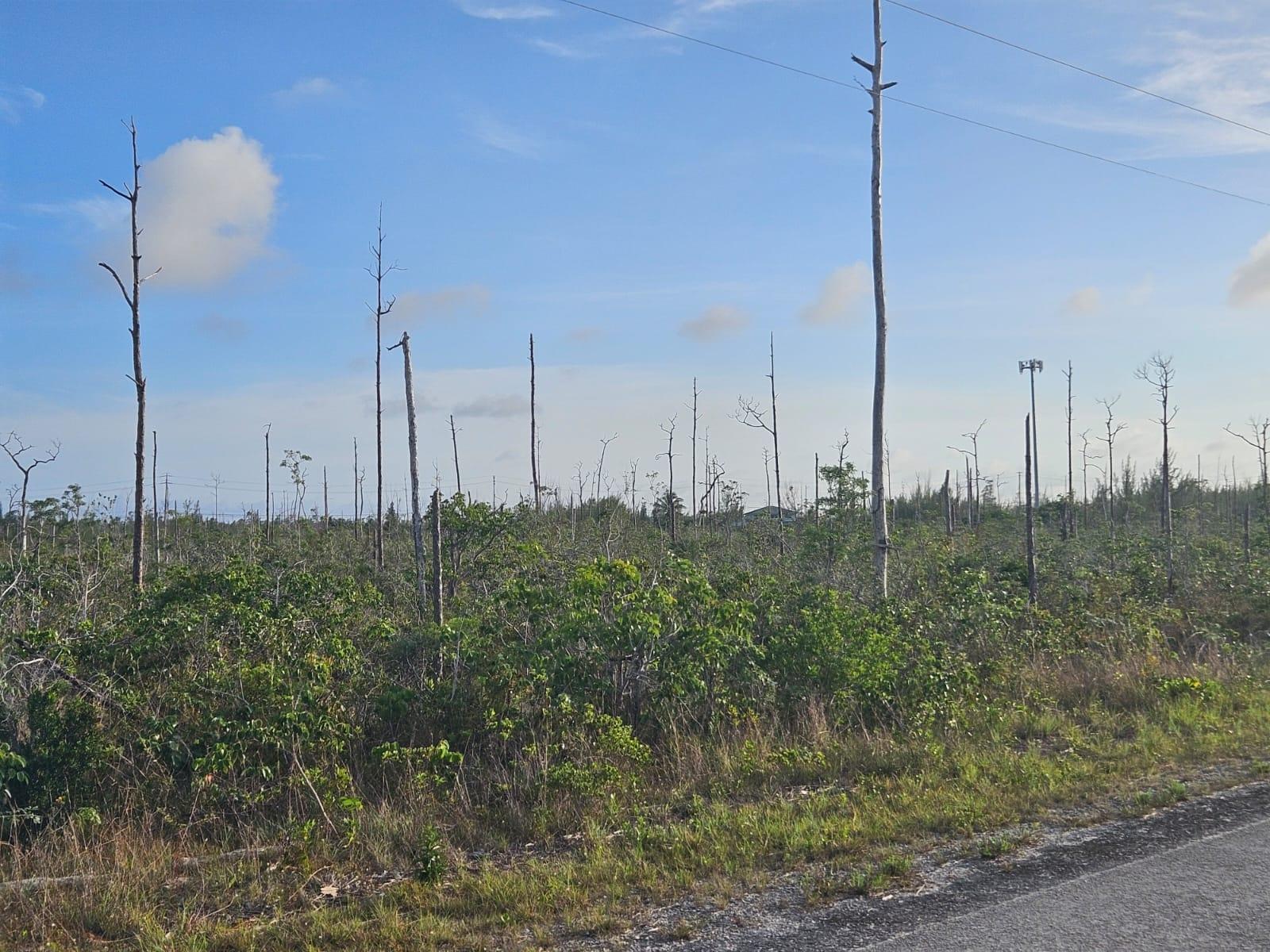 /listing-lots-acreage-in-derby-76149.html from Coldwell Banker Bahamas Real Estate
