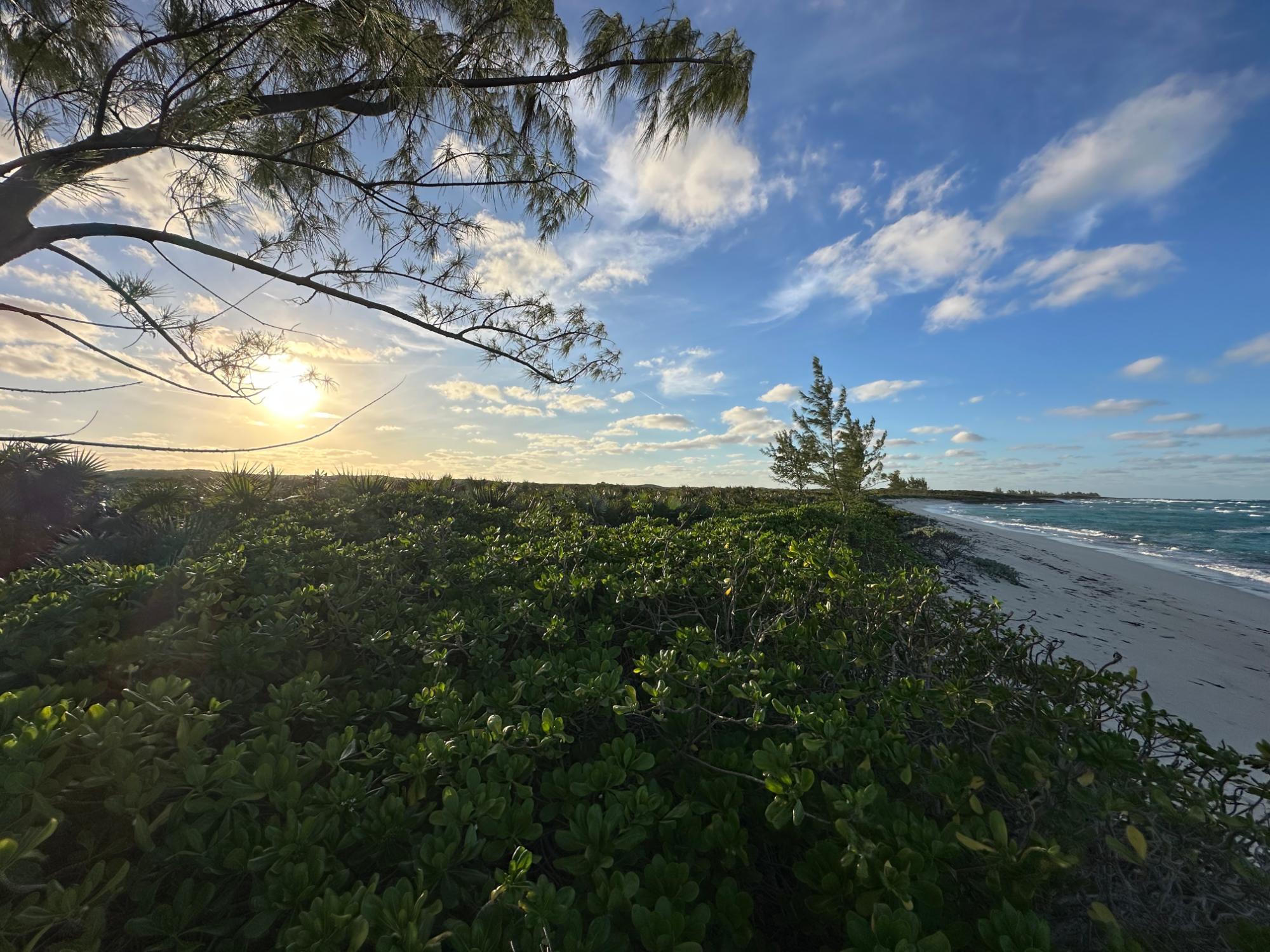 /listing-lots-acreage-in-arthurs-town-75855.html from Coldwell Banker Bahamas Real Estate