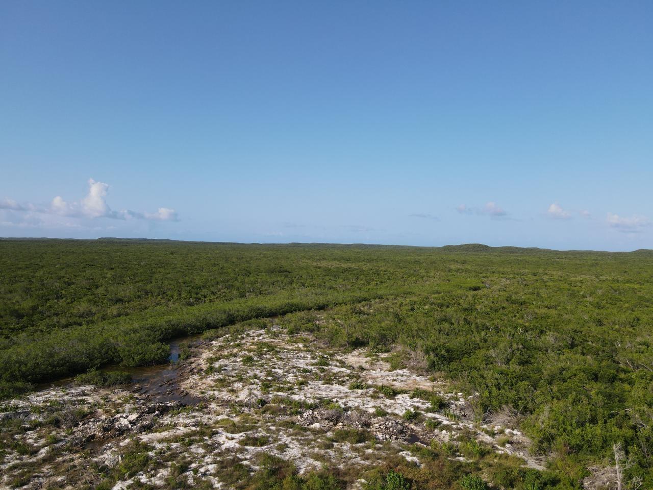 /listing-lots-acreage-in-doctors-creek-75919.html from Coldwell Banker Bahamas Real Estate