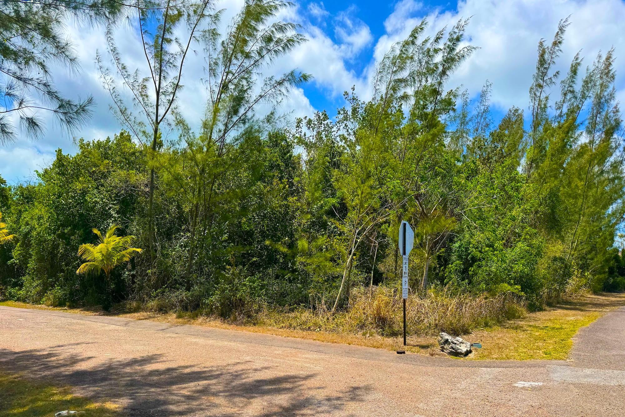 /listing-lots-acreage-in-western-road-75913.html from Coldwell Banker Bahamas Real Estate
