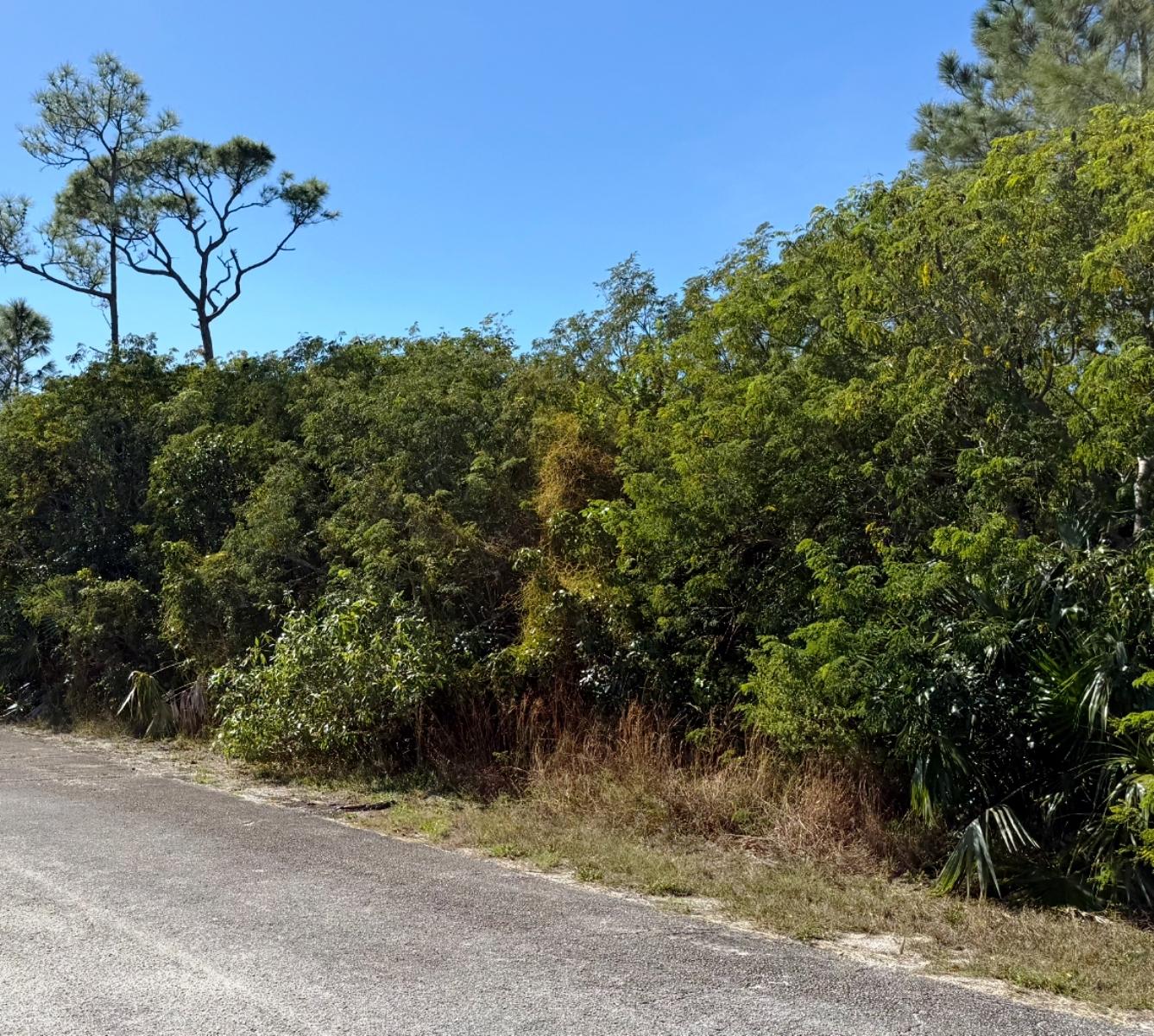 /listing-lots-acreage-in-marsh-harbour-75896.html from Coldwell Banker Bahamas Real Estate