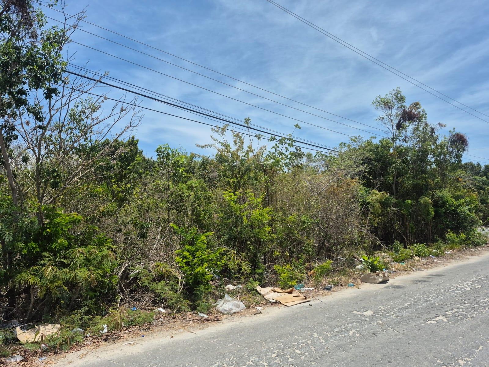 /listing-lots-acreage-in-rock-sound-76103.html from Coldwell Banker Bahamas Real Estate
