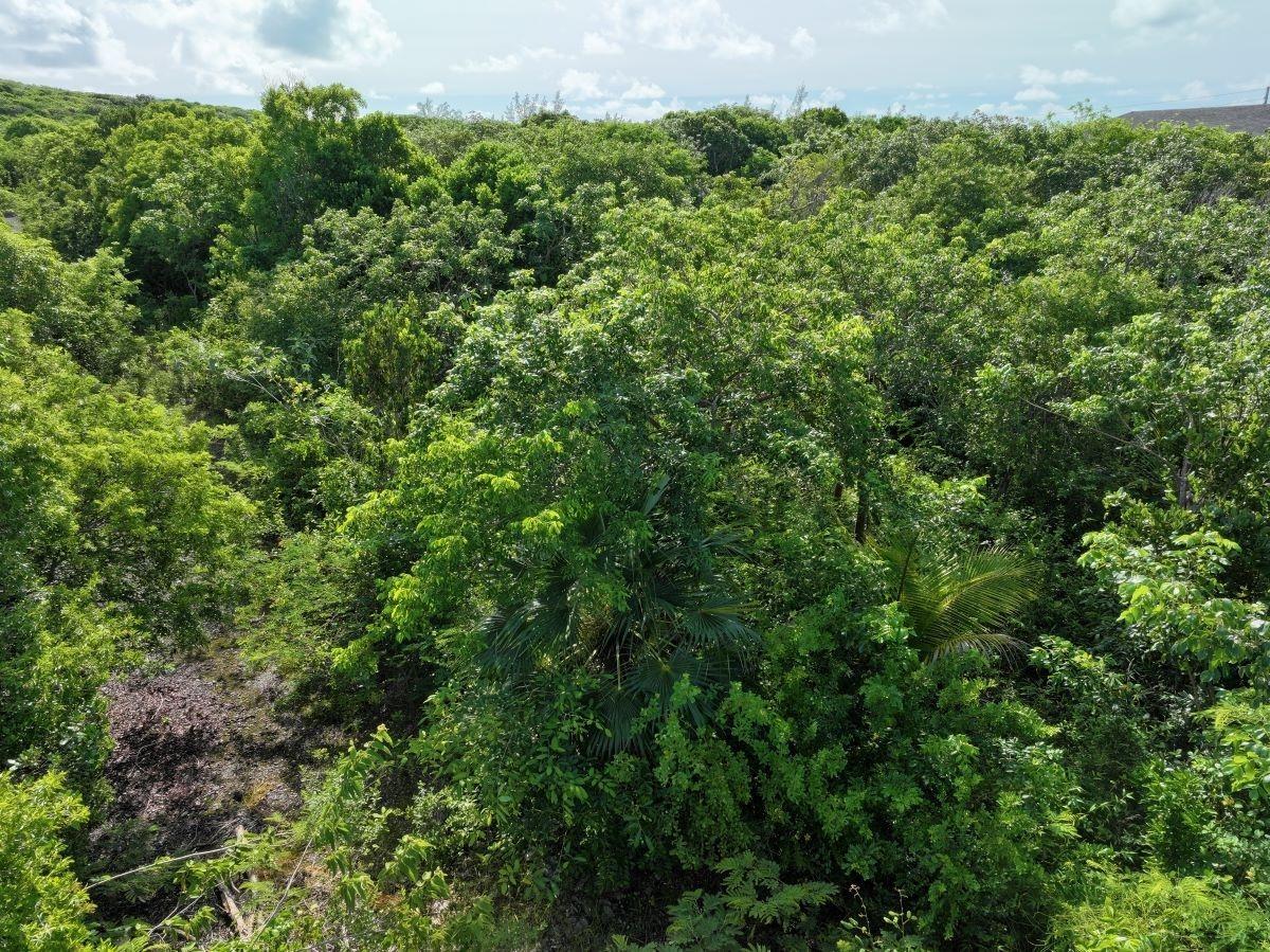 /listing-lots-acreage-in-palmetto-point-76213.html from Coldwell Banker Bahamas Real Estate