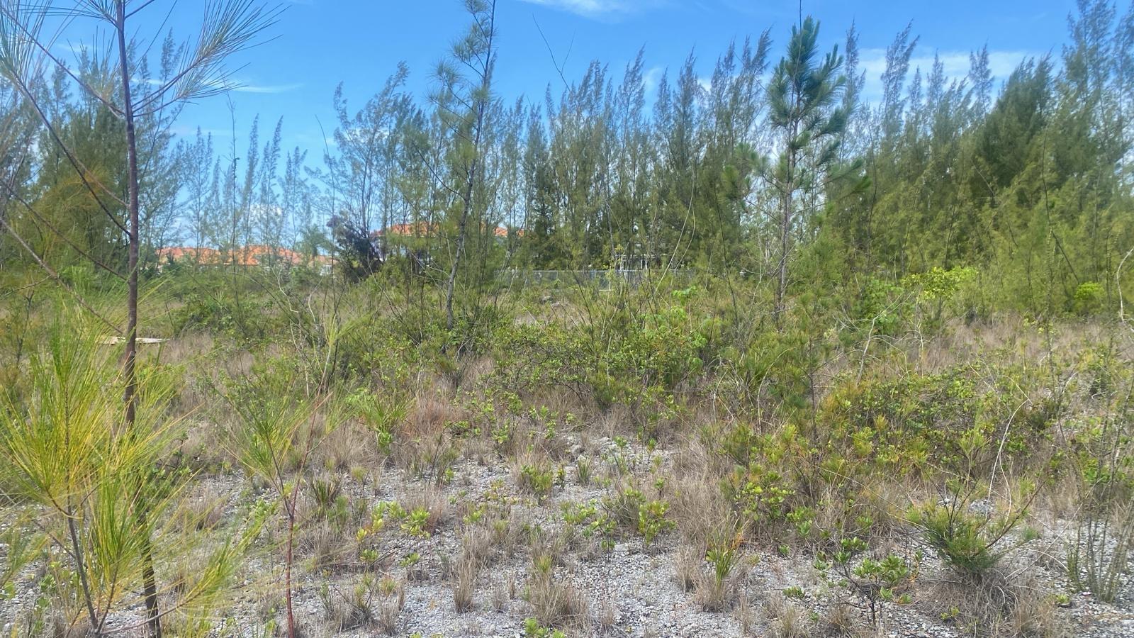/listing-lots-acreage-in-coral-harbour-80764.html from Coldwell Banker Bahamas Real Estate