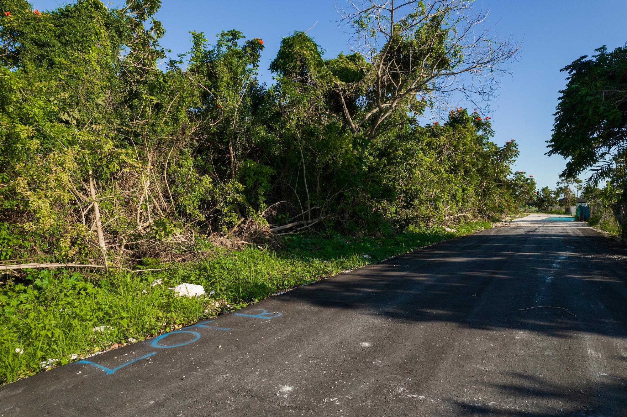 /listing-lots-acreage-in-gladstone-road-76282.html from Coldwell Banker Bahamas Real Estate