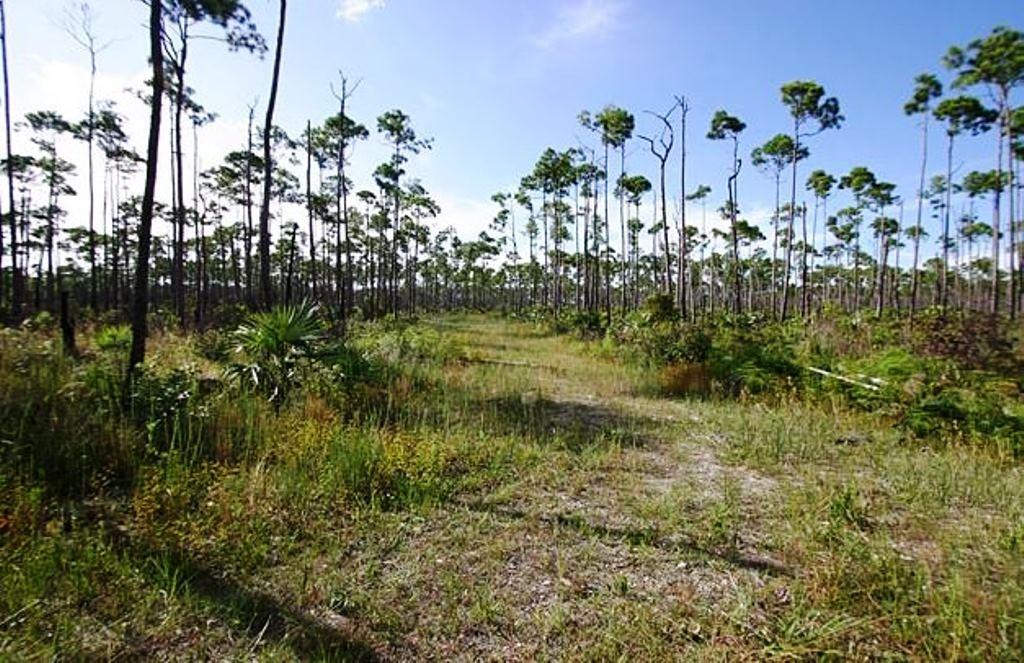 /listing-lots-acreage-in-lucaya-76303.html from Coldwell Banker Bahamas Real Estate