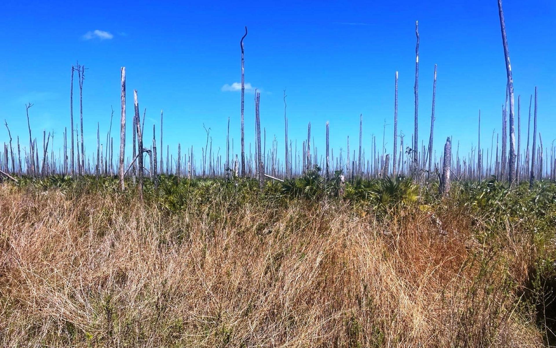 /listing-lots-acreage-in-lucaya-76326.html from Coldwell Banker Bahamas Real Estate