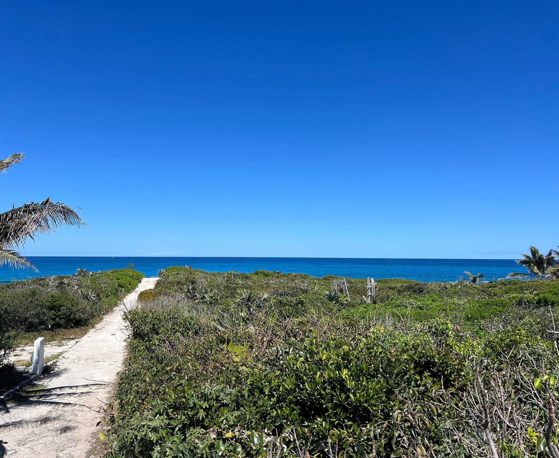 /listing-lots-acreage-in-guana-cay-76408.html from Coldwell Banker Bahamas Real Estate