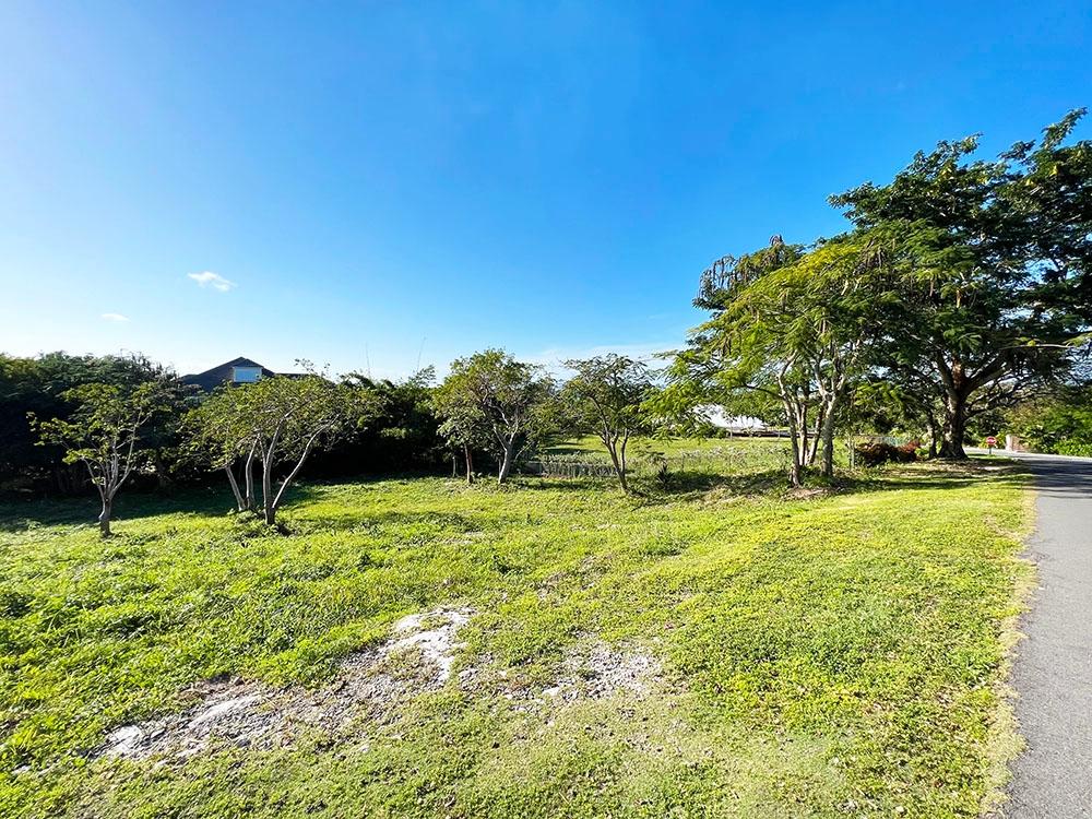 /listing-lots-acreage-in-lyford-cay-76418.html from Coldwell Banker Bahamas Real Estate
