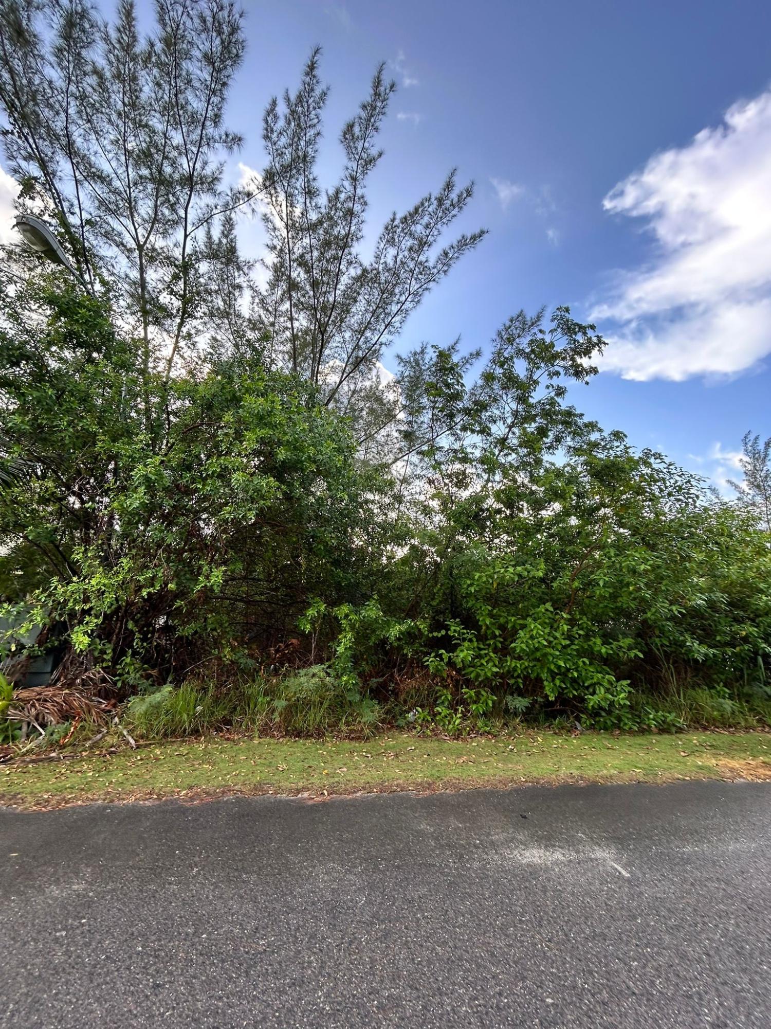 /listing-lots-acreage-in-west-bay-street-76535.html from Coldwell Banker Bahamas Real Estate