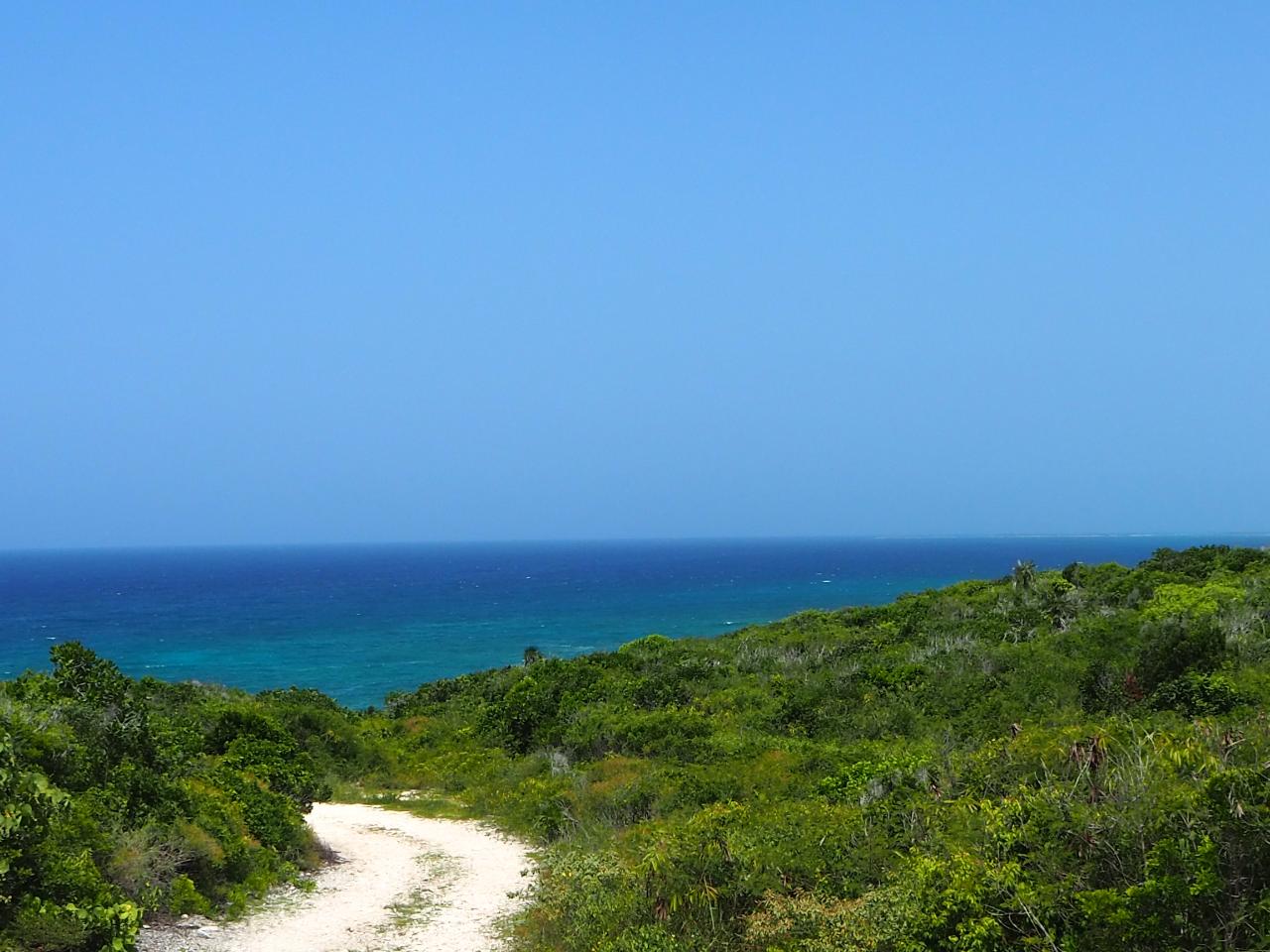 /listing-lots-acreage-in-scrub-hill-76529.html from Coldwell Banker Bahamas Real Estate