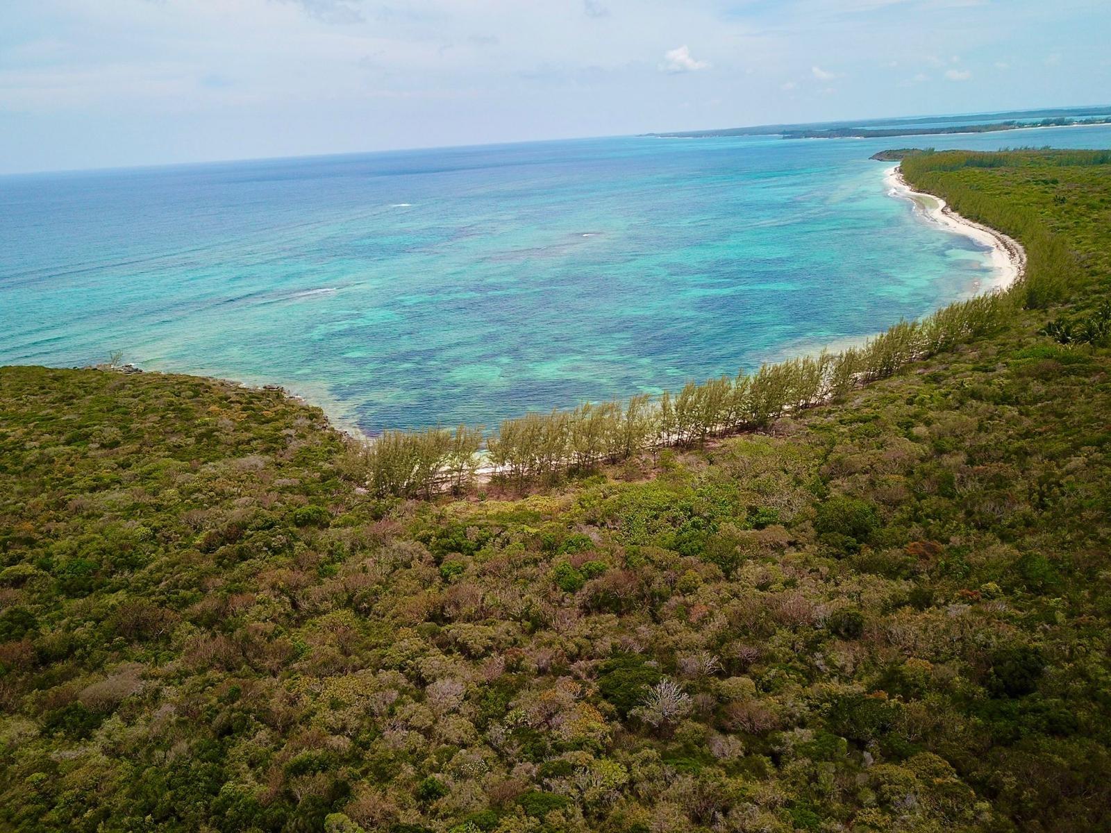 /listing-lots-acreage-in-tarpum-bay-76600.html from Coldwell Banker Bahamas Real Estate