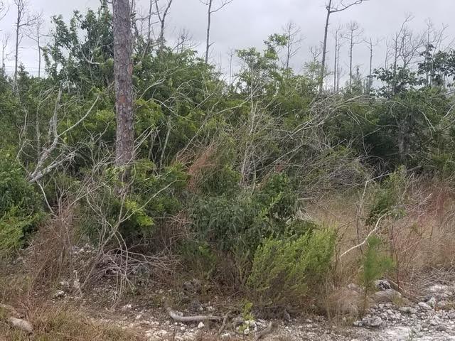 /listing-lots-acreage-in-other-grand-bahama-freeport-76587.html from Coldwell Banker Bahamas Real Estate