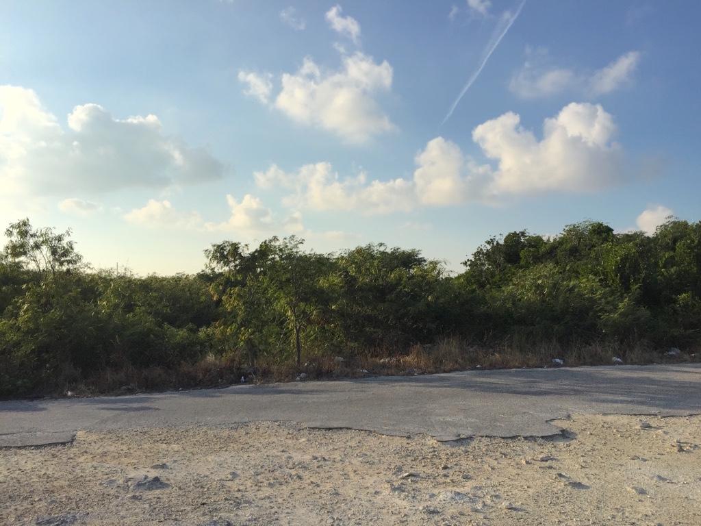 /listing-lots-acreage-in-cartwrights-76611.html from Coldwell Banker Bahamas Real Estate
