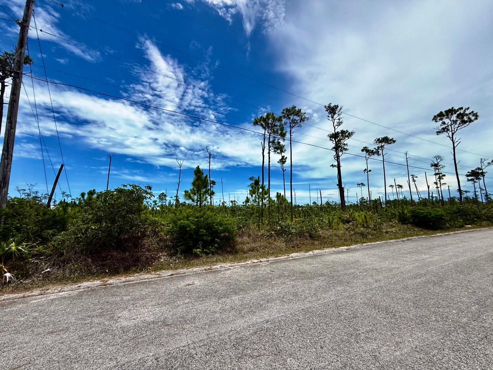 /listing-lots-acreage-in-shannon-subdivision-76742.html from Coldwell Banker Bahamas Real Estate