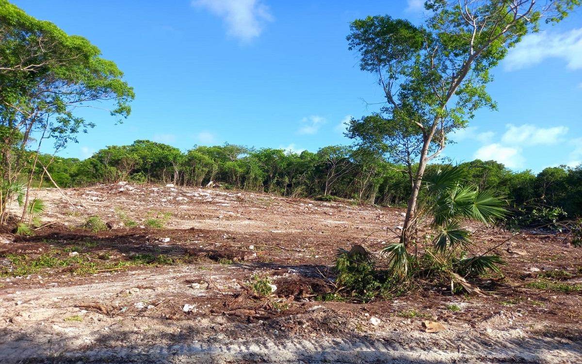 /listing-lots-acreage-in-bahama-sound-77130.html from Coldwell Banker Bahamas Real Estate