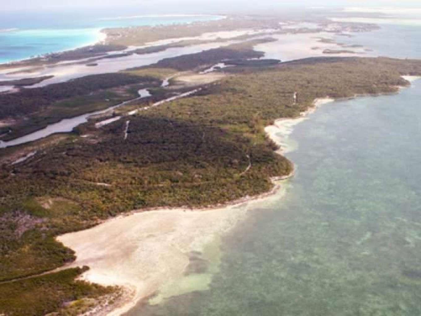 /listing-lots-acreage-in-other-berry-islands-76813.html from Coldwell Banker Bahamas Real Estate