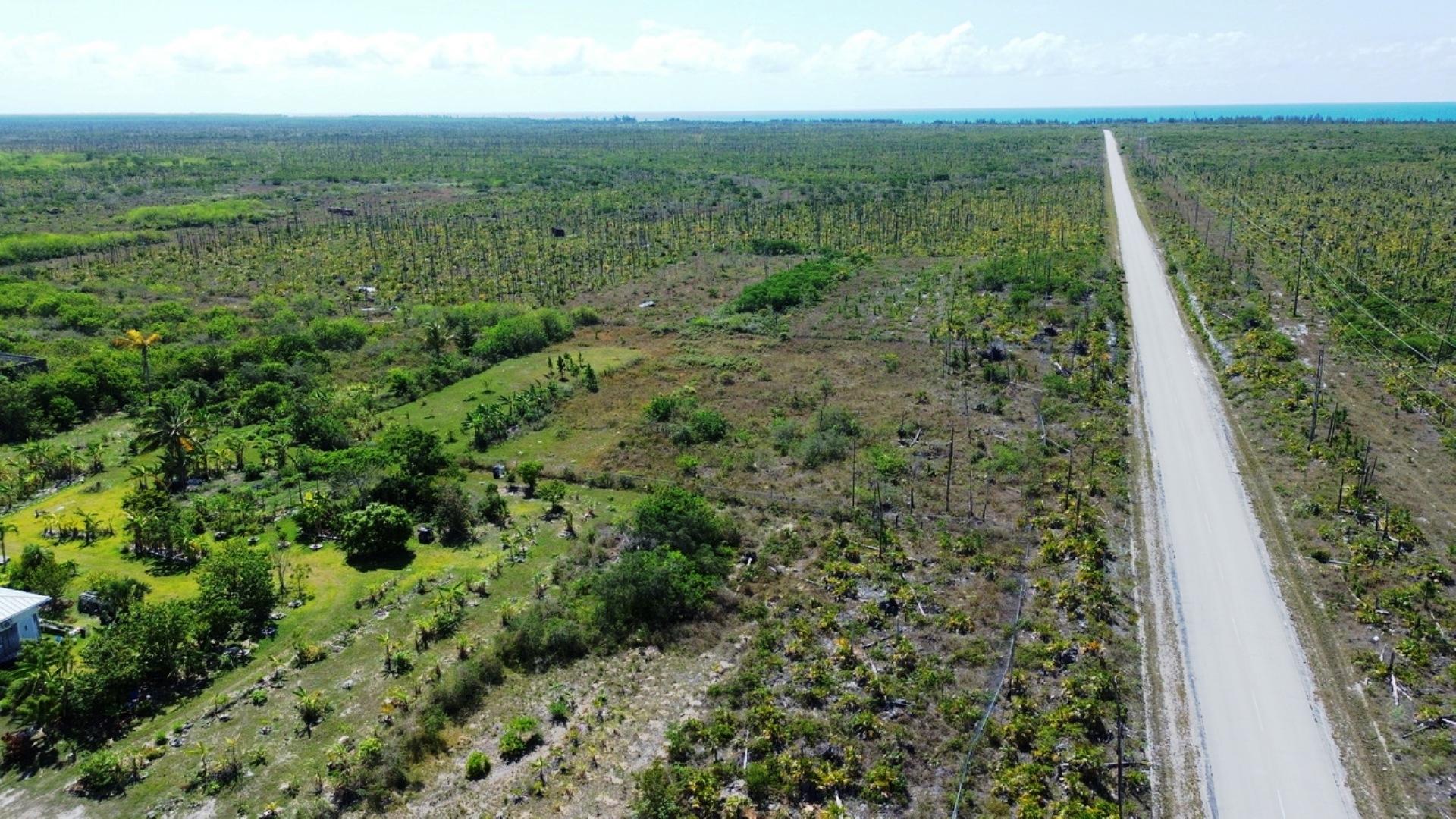 /listing-lots-acreage-in-grand-bahama-east-76840.html from Coldwell Banker Bahamas Real Estate