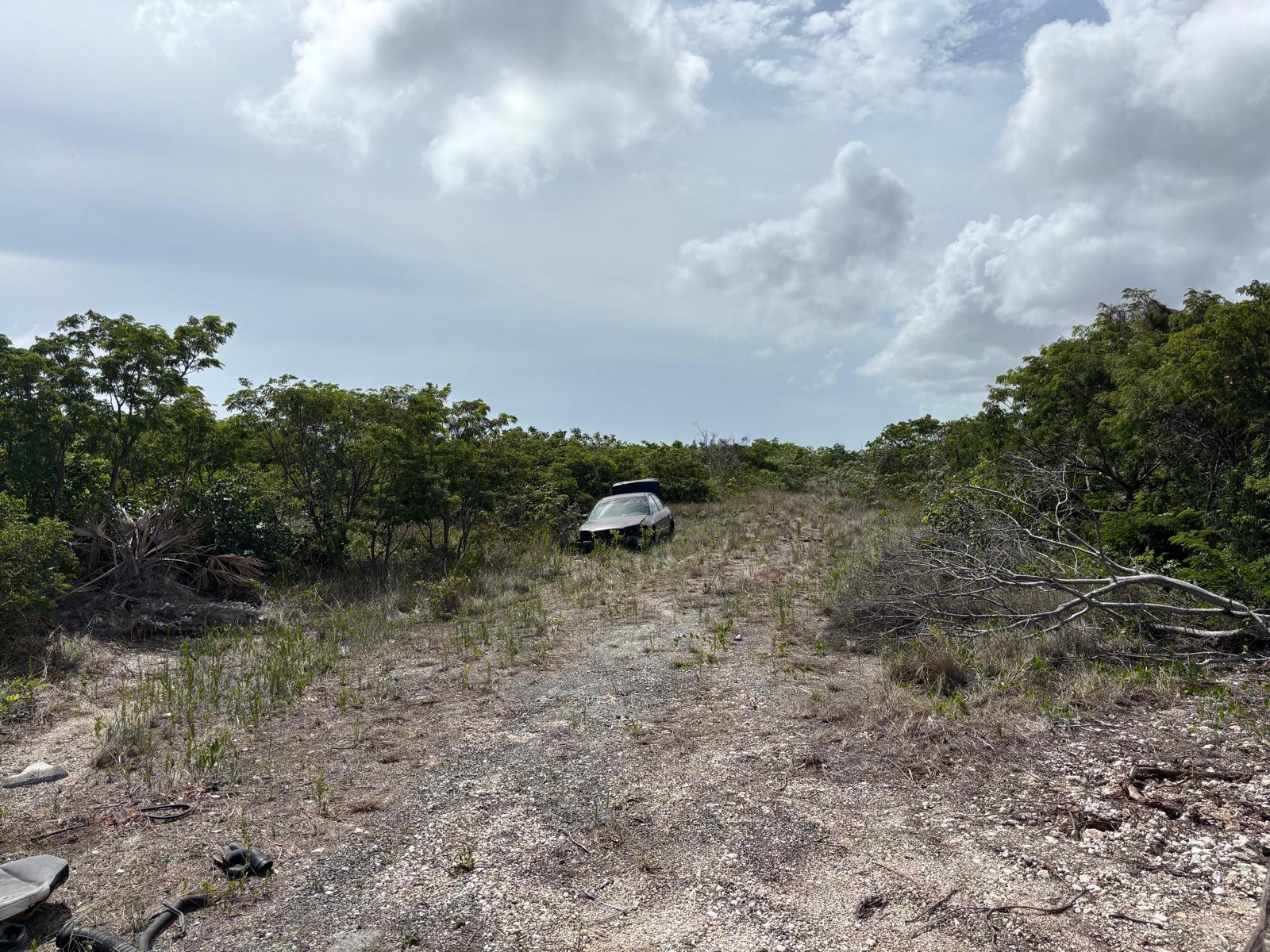 /listing-lots-acreage-in-eight-mile-rock-76876.html from Coldwell Banker Bahamas Real Estate