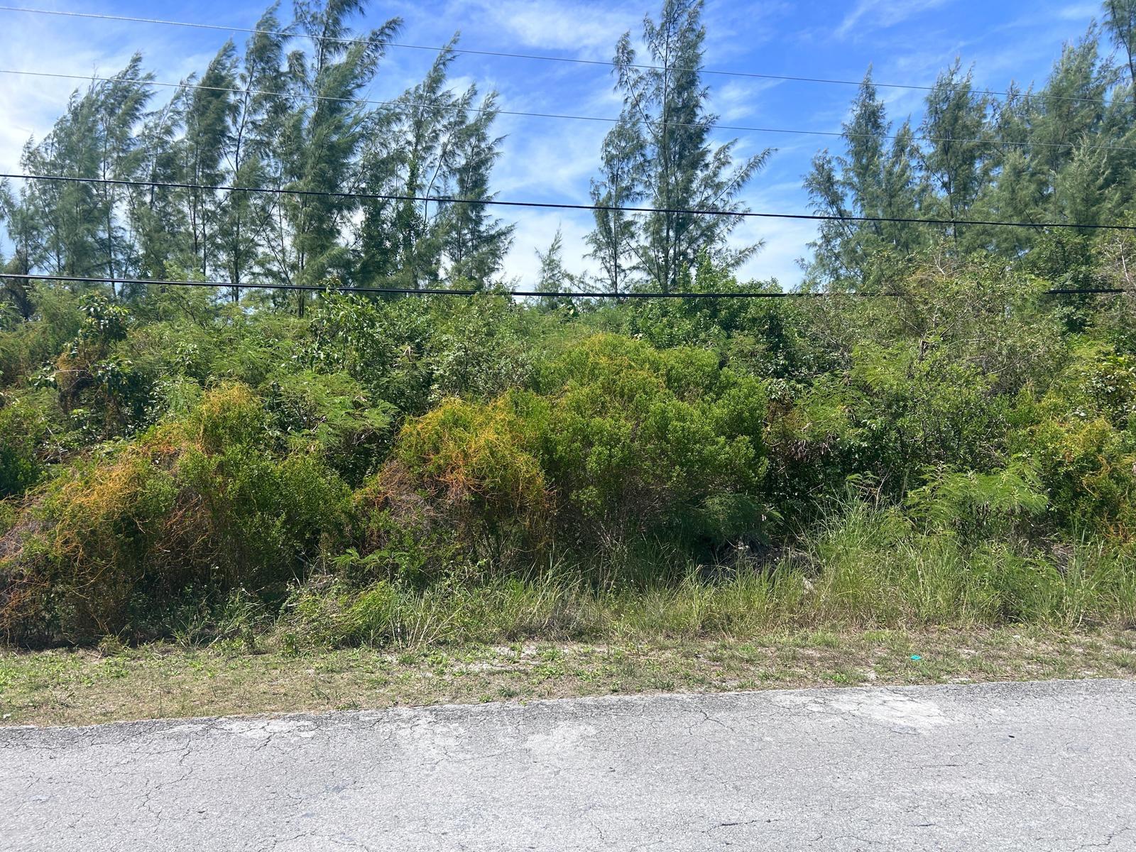 /listing-lots-acreage-in-marshall-road-76917.html from Coldwell Banker Bahamas Real Estate