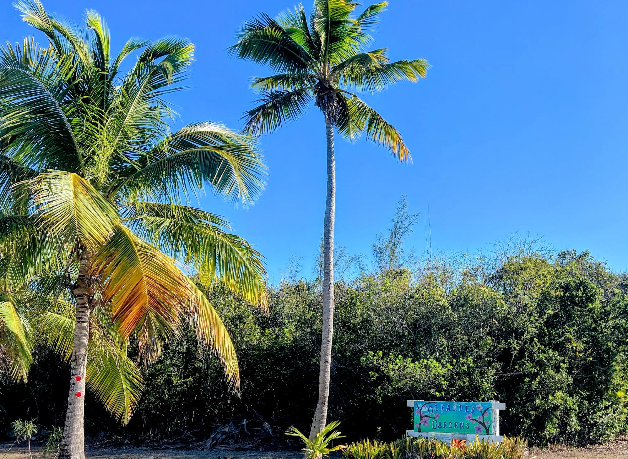 /listing-lots-acreage-in-gregory-town-76937.html from Coldwell Banker Bahamas Real Estate