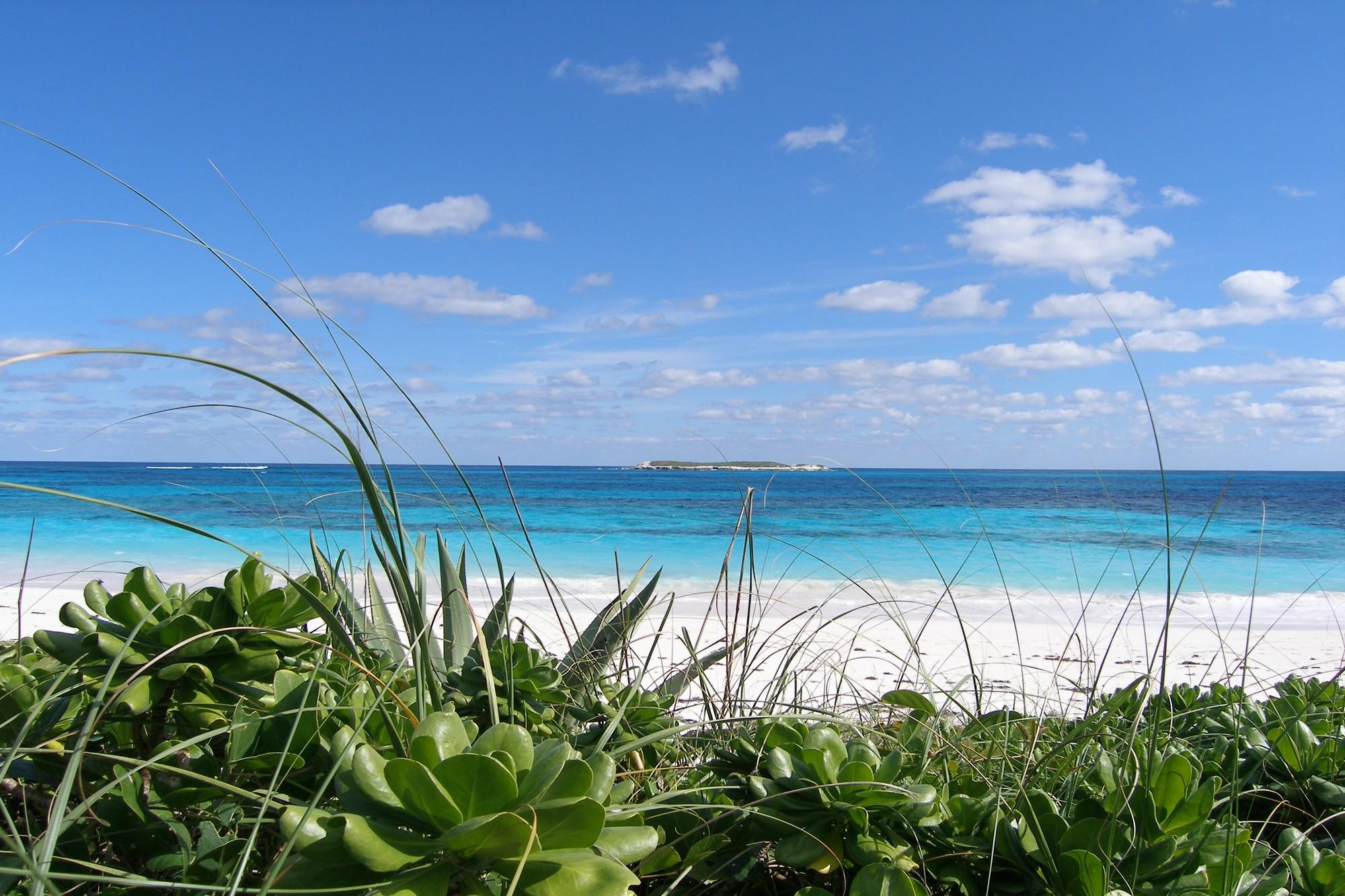 /listing-lots-acreage-in-double-bay-76958.html from Coldwell Banker Bahamas Real Estate