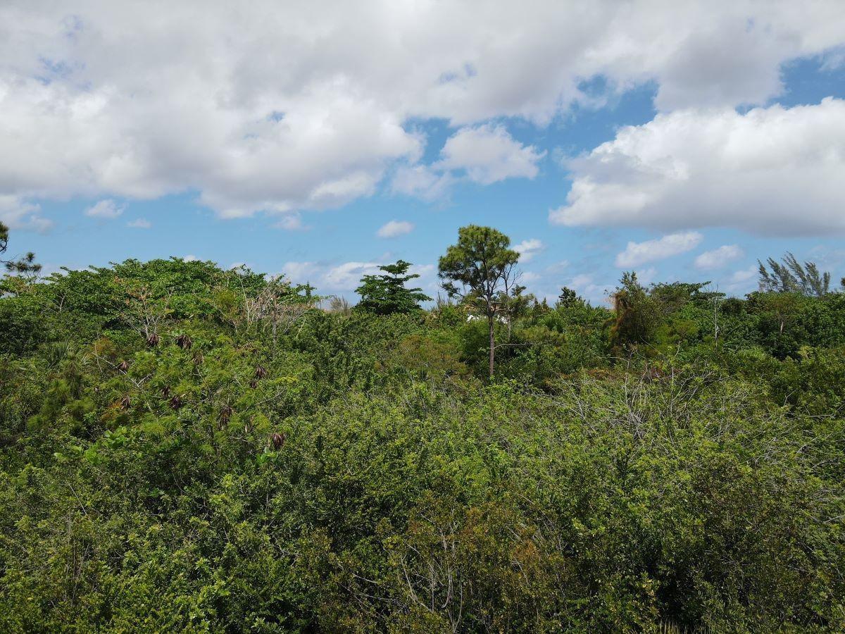 /listing-lots-acreage-in-columbus-landings-76906.html from Coldwell Banker Bahamas Real Estate