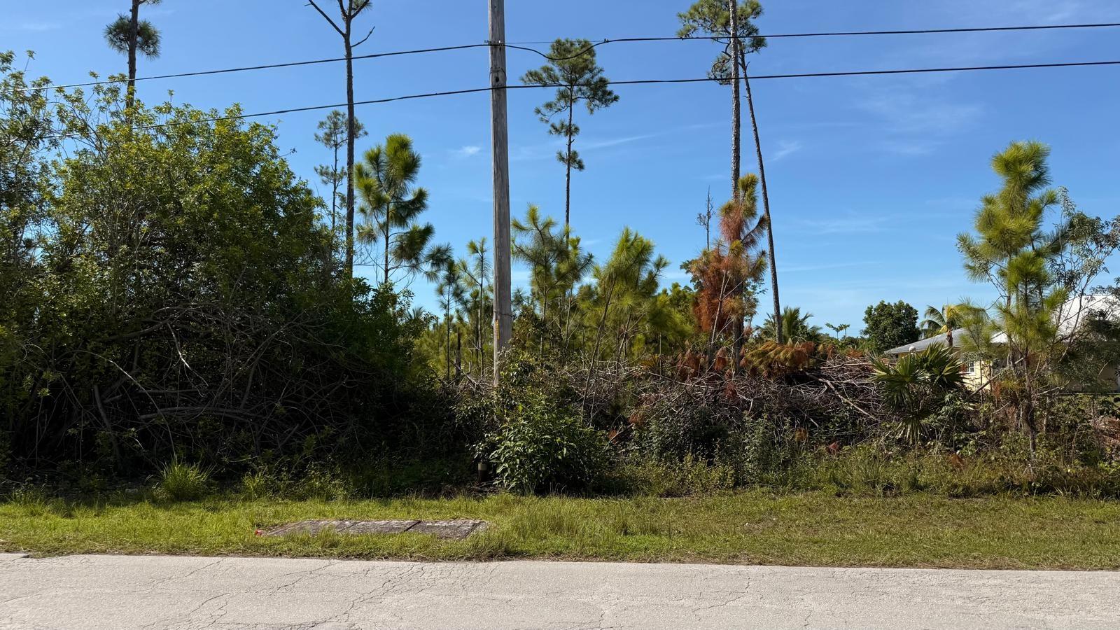 /listing-lots-acreage-in-bahamia-77016.html from Coldwell Banker Bahamas Real Estate