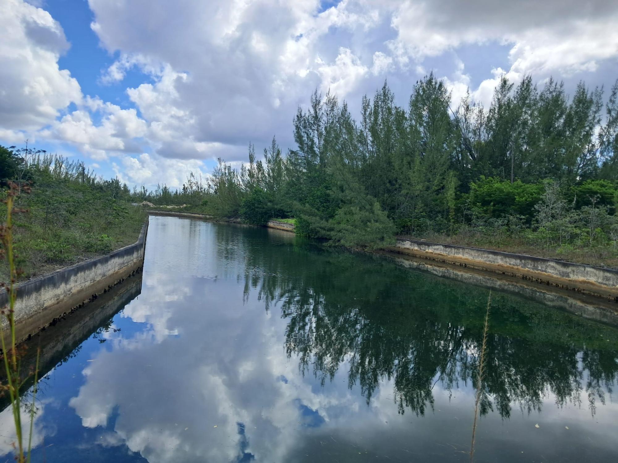 /listing-lots-acreage-in-derby-77020.html from Coldwell Banker Bahamas Real Estate
