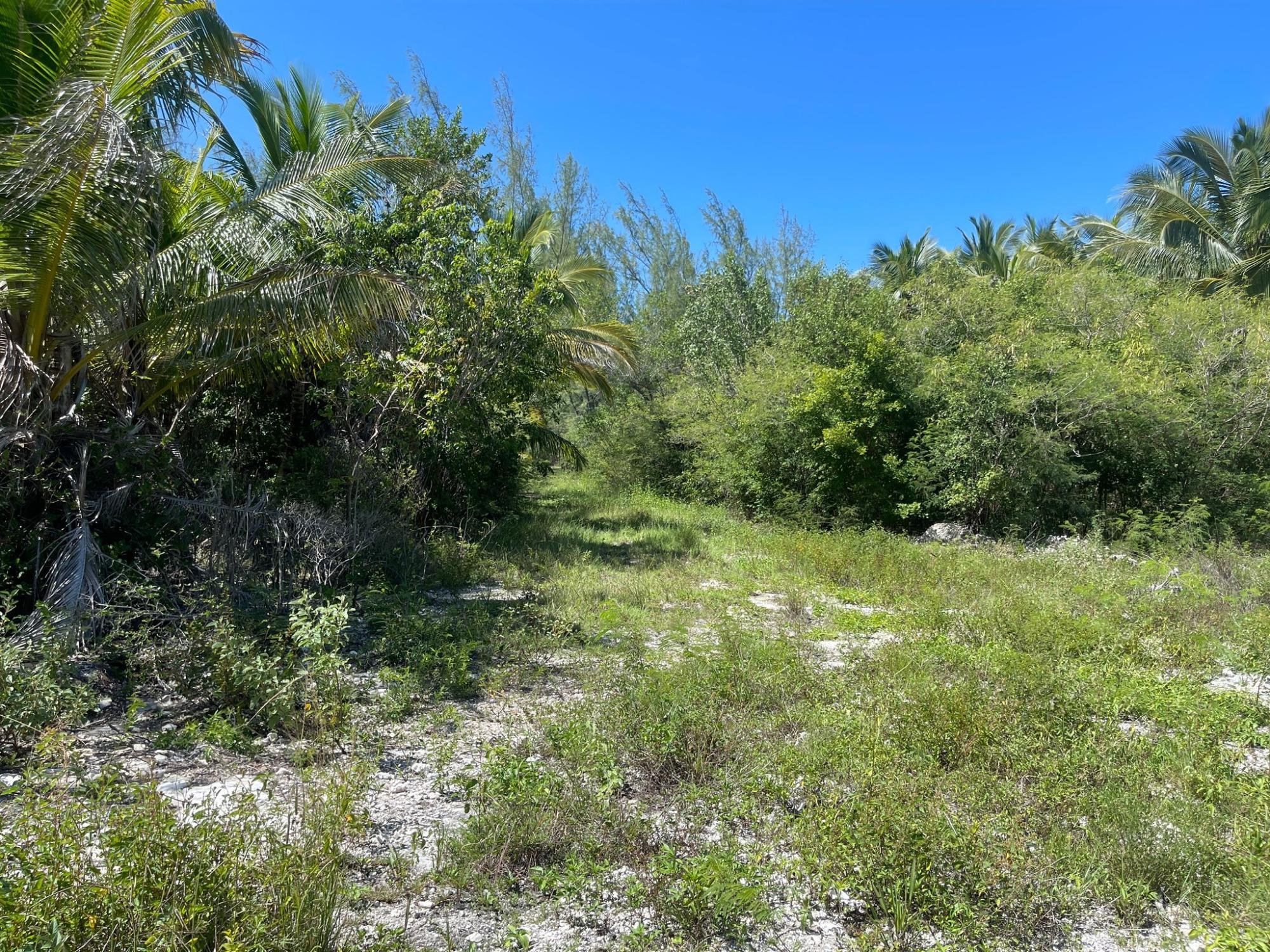 /listing-lots-acreage-in-other-andros-77178.html from Coldwell Banker Bahamas Real Estate