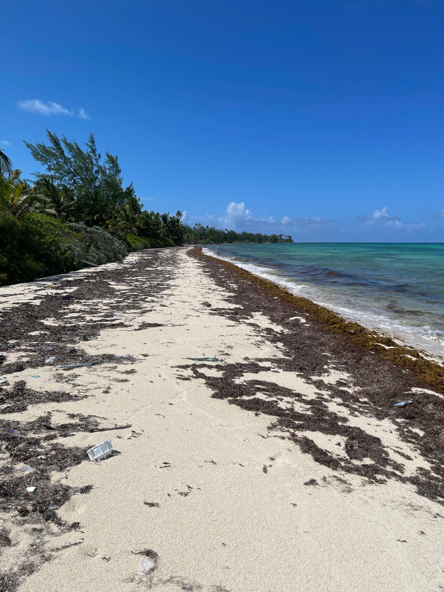 /listing-lots-acreage-in-other-andros-77179.html from Coldwell Banker Bahamas Real Estate