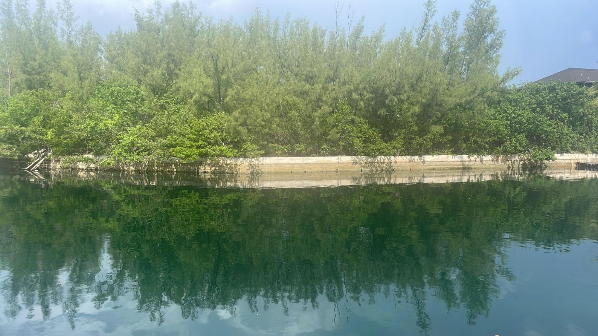 /listing-lots-acreage-in-lucaya-77289.html from Coldwell Banker Bahamas Real Estate