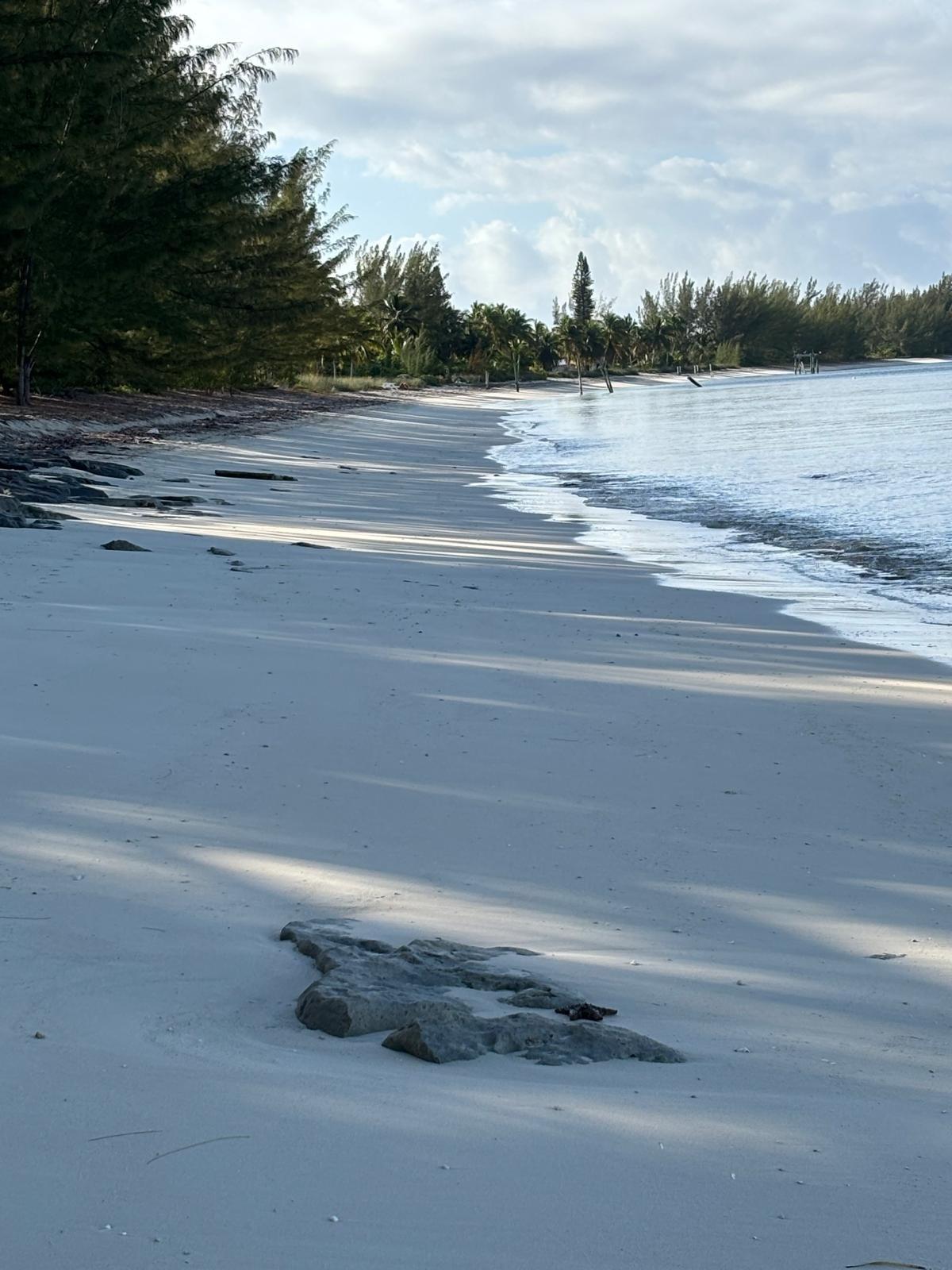 /listing-single-family-home-in-sandy-point-77311.html from Coldwell Banker Bahamas Real Estate