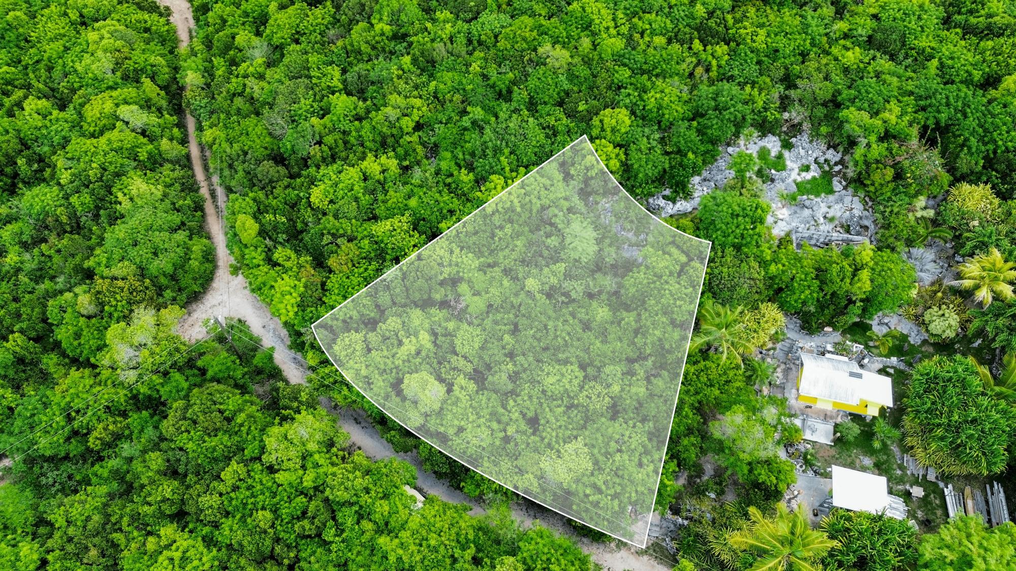 /listing-lots-acreage-in-gregory-town-77368.html from Coldwell Banker Bahamas Real Estate