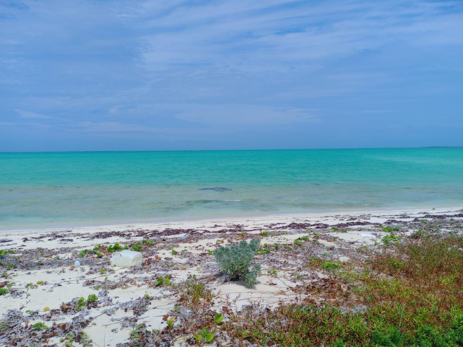 /listing-lots-acreage-in-mayaguana-77606.html from Coldwell Banker Bahamas Real Estate
