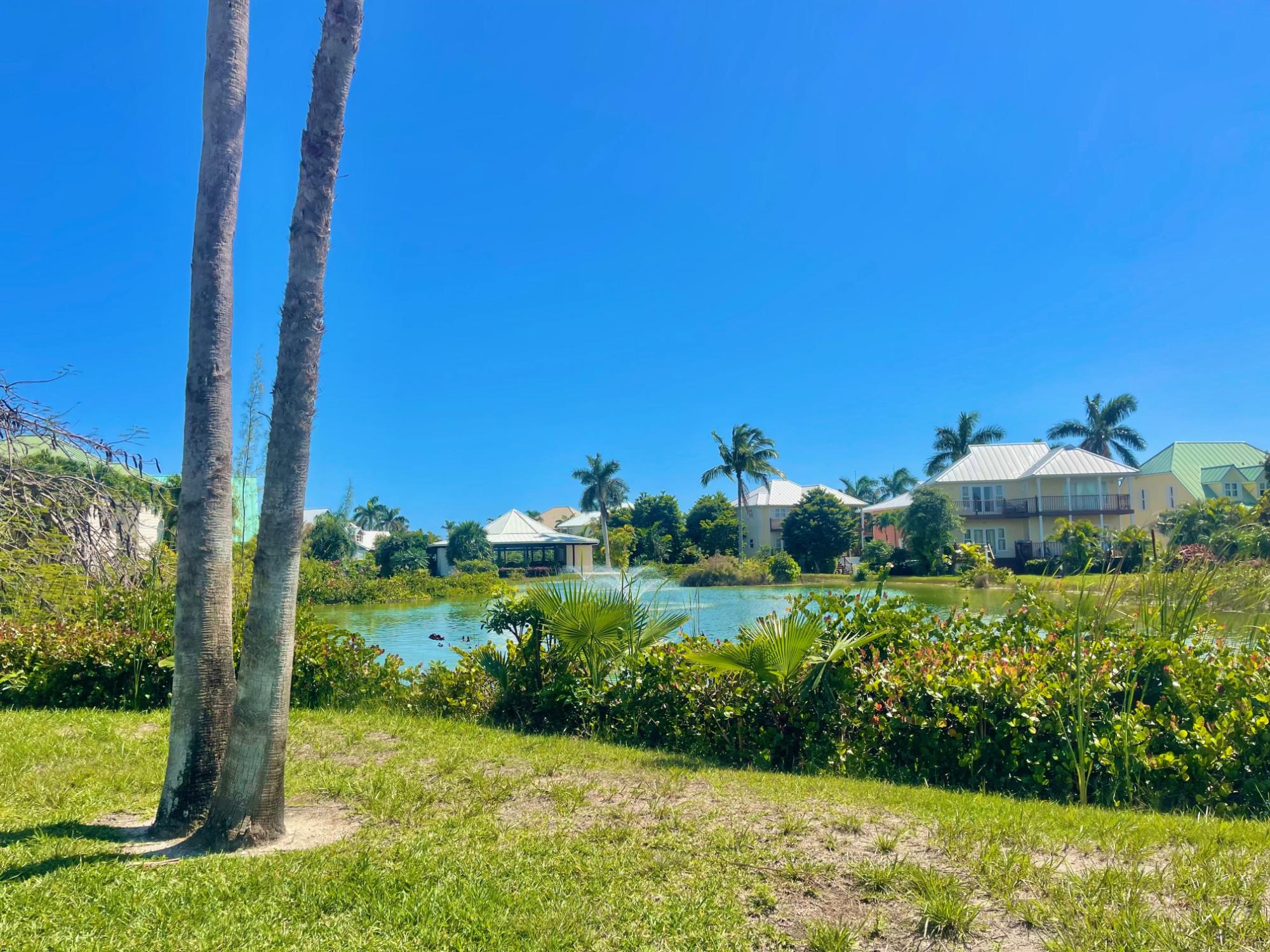 /listing-single-family-home-in-fortune-beach-77438.html from Coldwell Banker Bahamas Real Estate