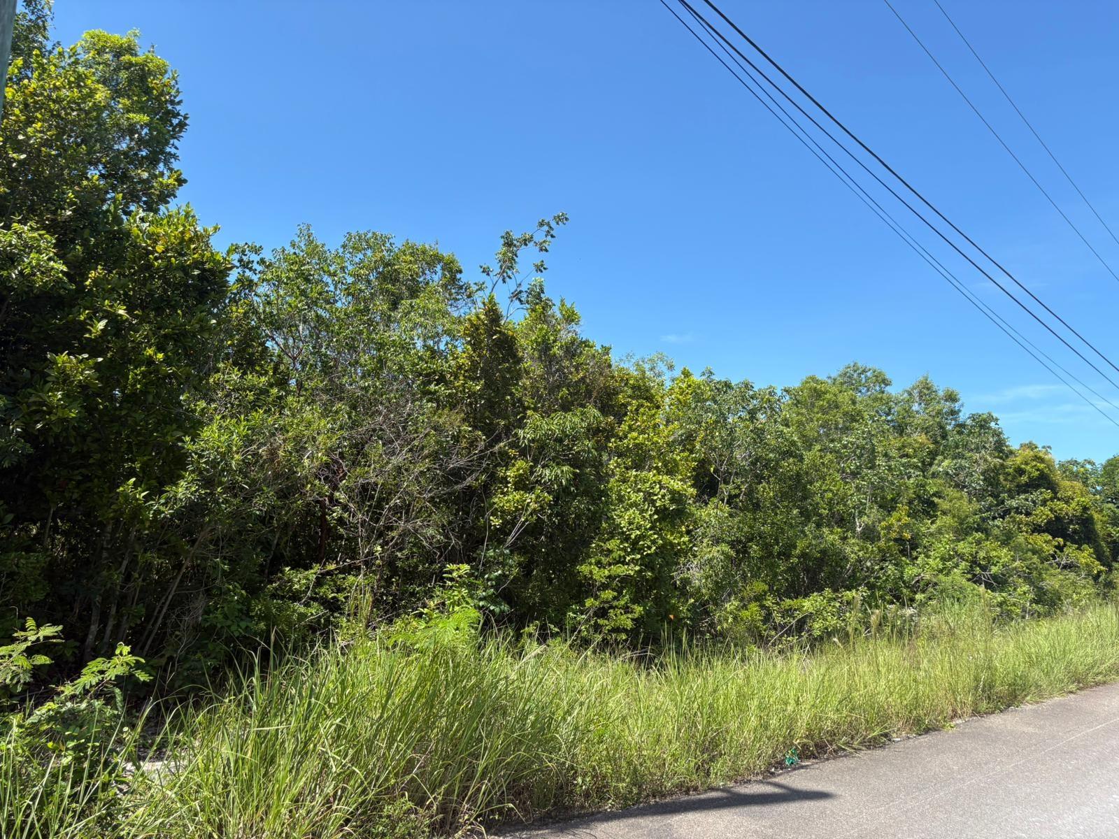 /listing-lots-acreage-in-adelaide-77475.html from Coldwell Banker Bahamas Real Estate