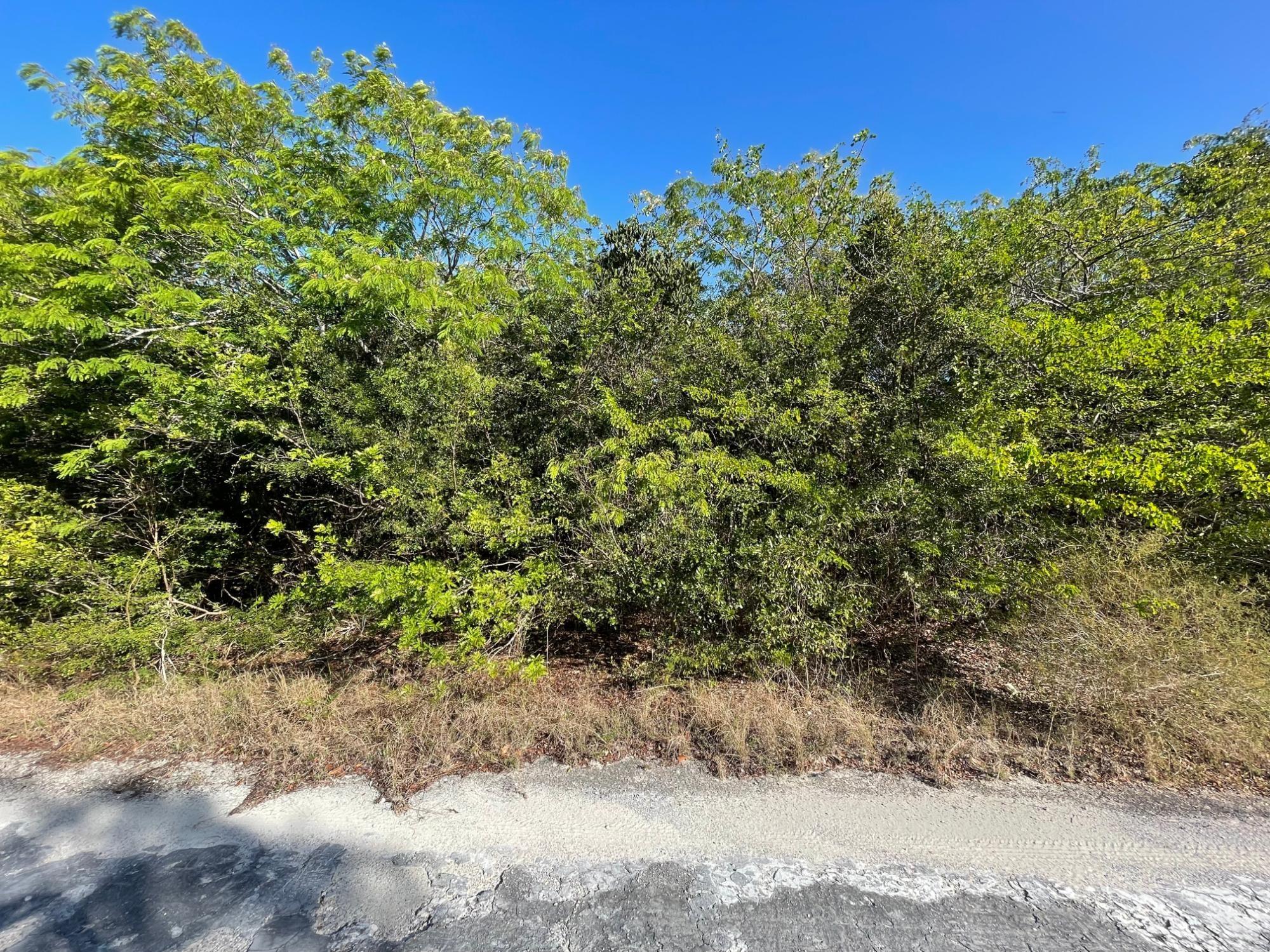 /listing-lots-acreage-in-bahama-sound-77541.html from Coldwell Banker Bahamas Real Estate