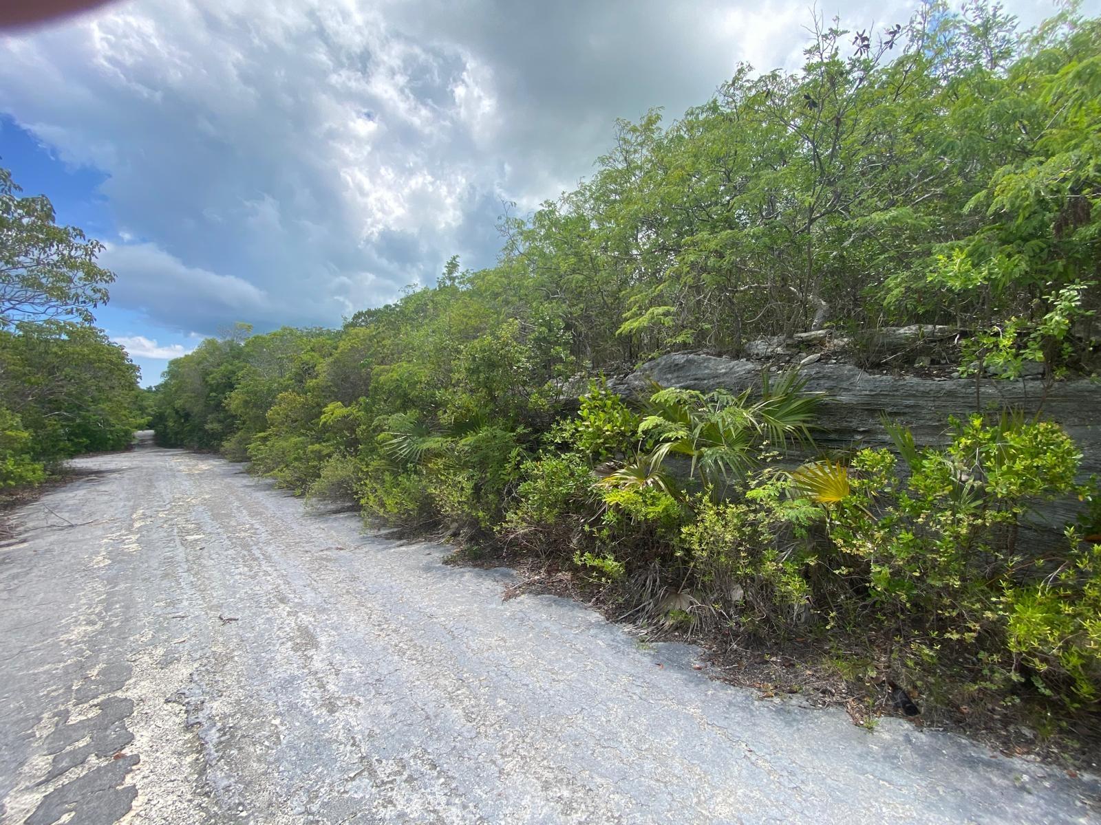 /listing-lots-acreage-in-stella-maris-77655.html from Coldwell Banker Bahamas Real Estate