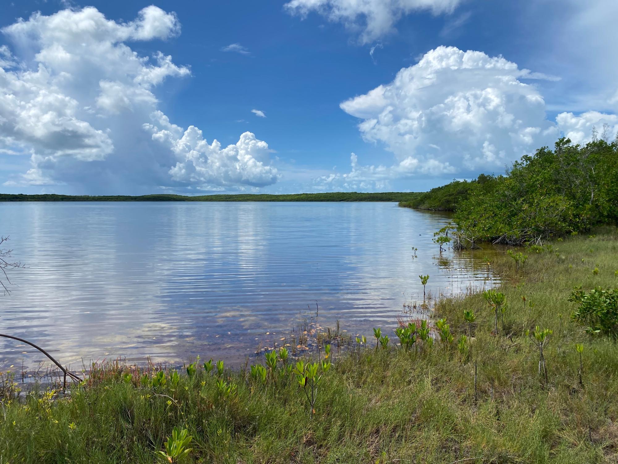 /listing-lots-acreage-in-palmetto-point-77693.html from Coldwell Banker Bahamas Real Estate