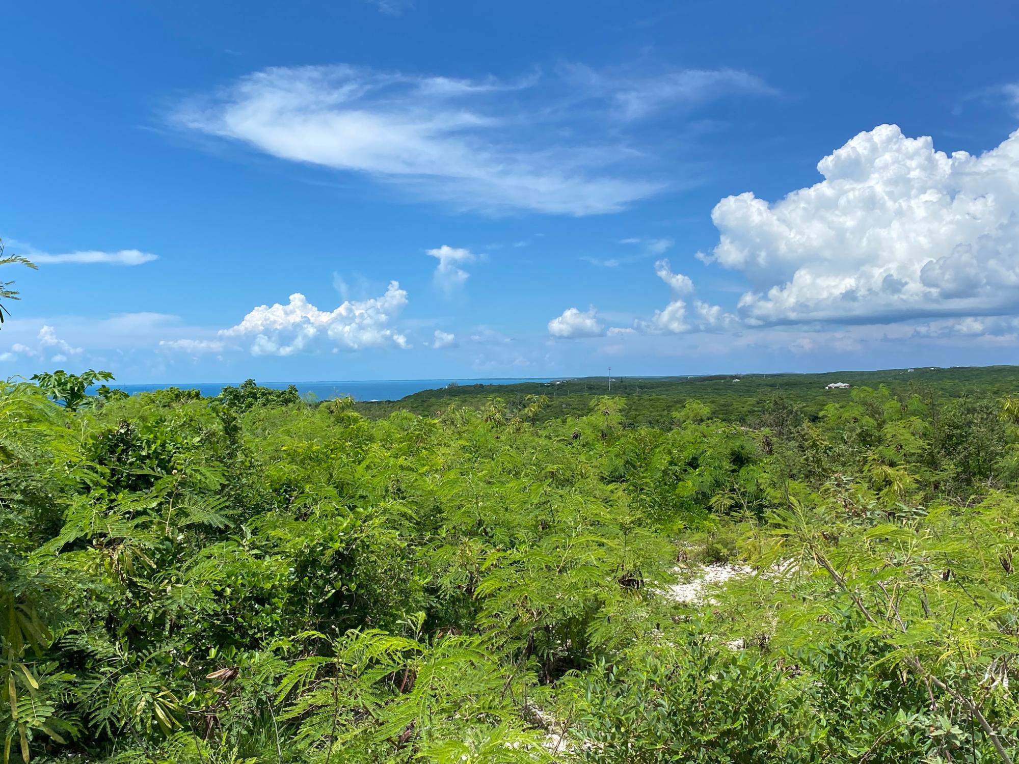 /listing-lots-acreage-in-gregory-town-79090.html from Coldwell Banker Bahamas Real Estate