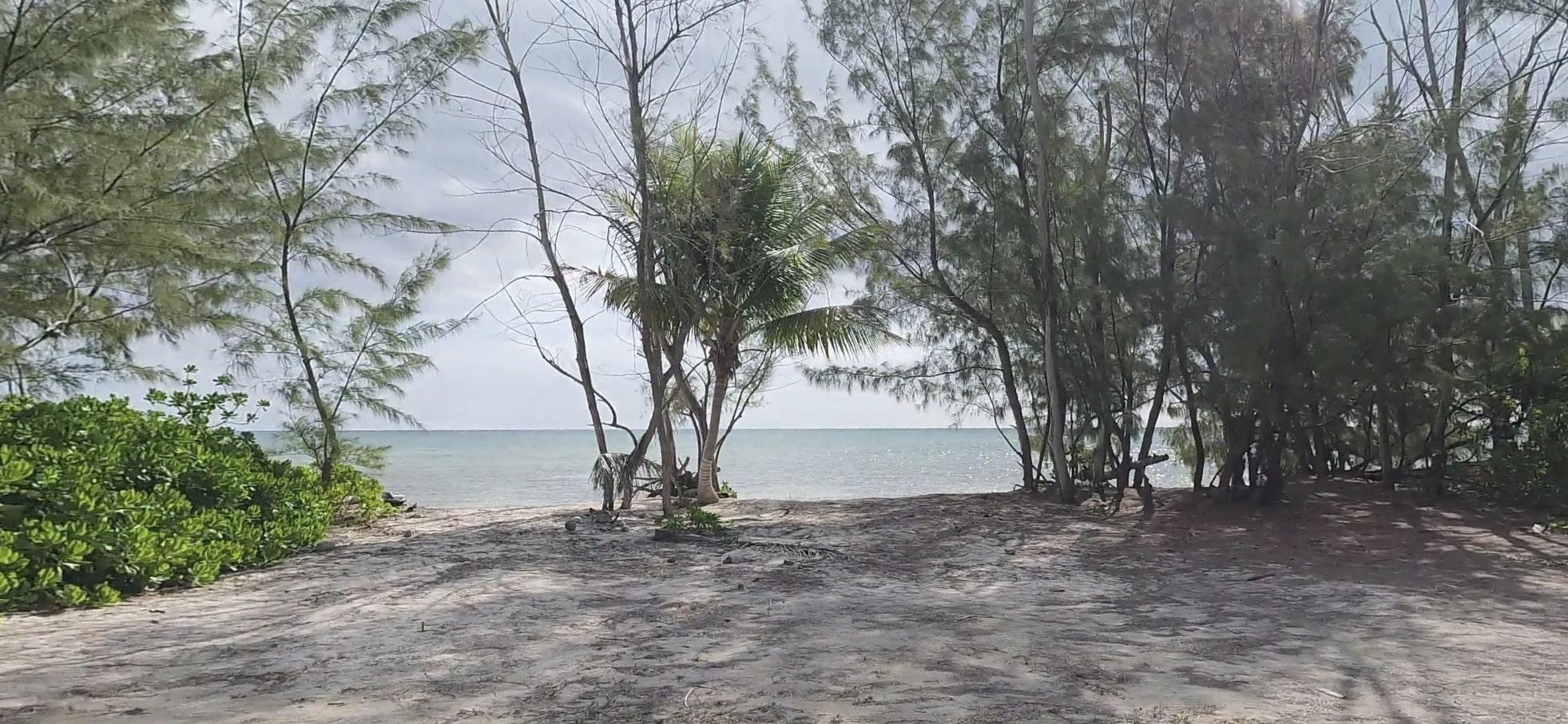 /listing-lots-acreage-in-mangrove-cay-77834.html from Coldwell Banker Bahamas Real Estate
