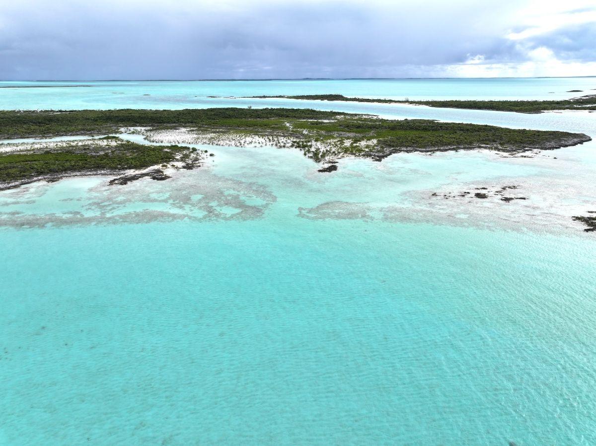 /listing-lots-acreage-in-exuma-cays-77818.html from Coldwell Banker Bahamas Real Estate