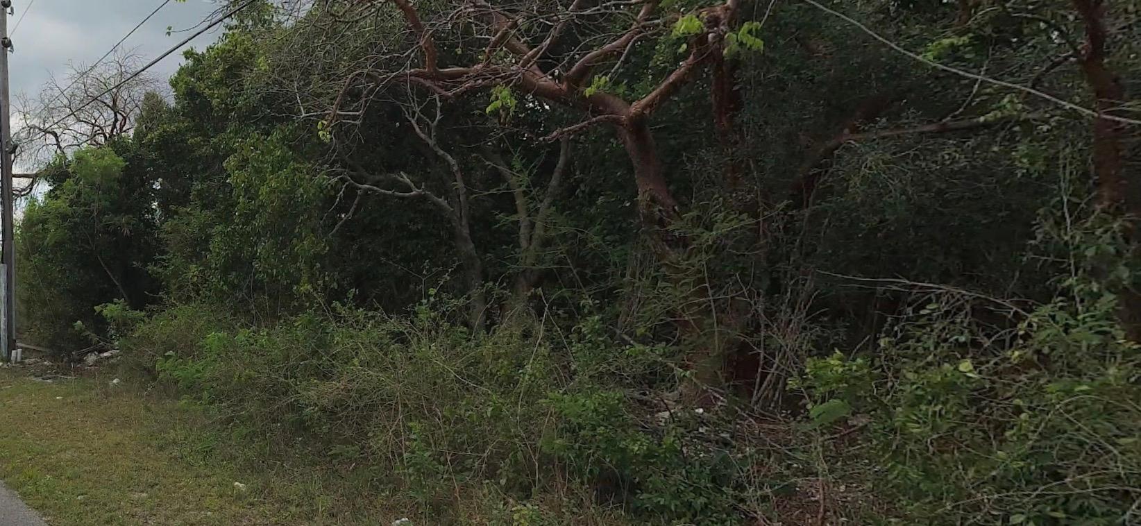 /listing-lots-acreage-in-congo-town-77854.html from Coldwell Banker Bahamas Real Estate