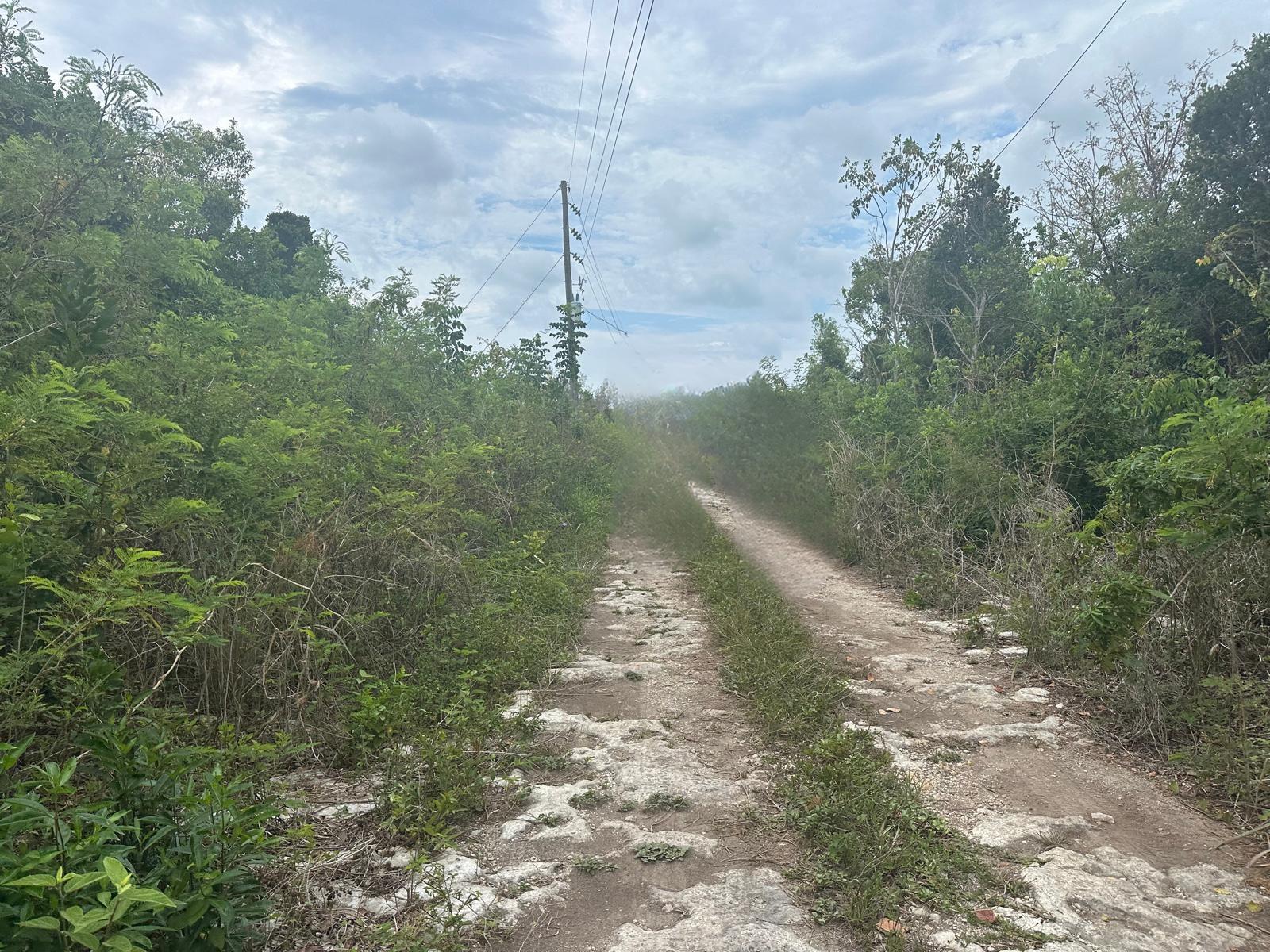 /listing-lots-acreage-in-tarpum-bay-77855.html from Coldwell Banker Bahamas Real Estate