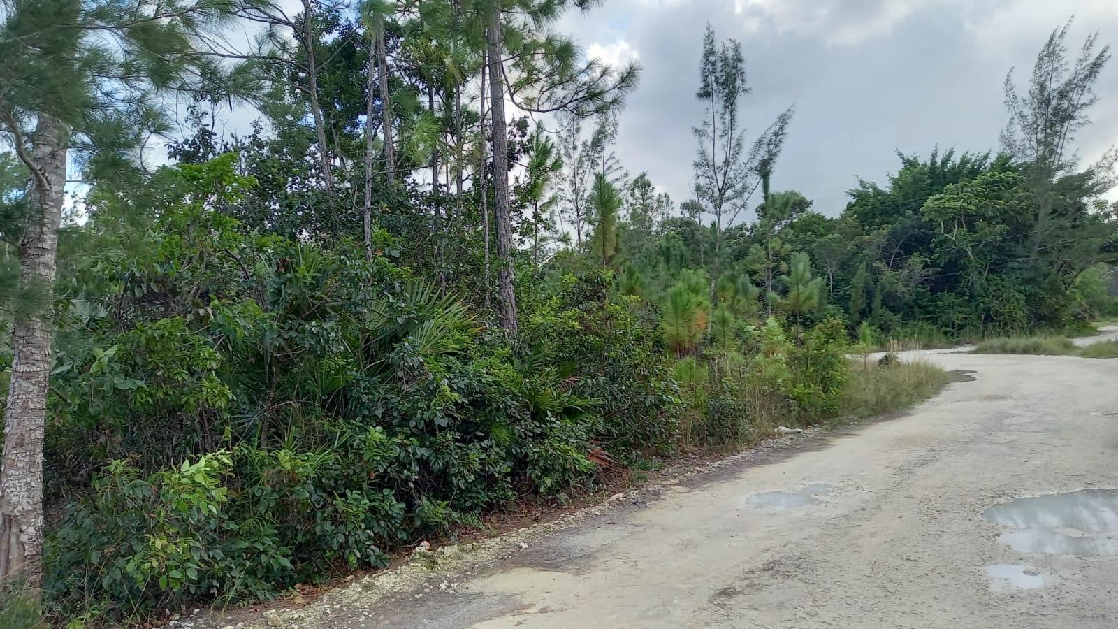 /listing-lots-acreage-in-other-andros-77953.html from Coldwell Banker Bahamas Real Estate