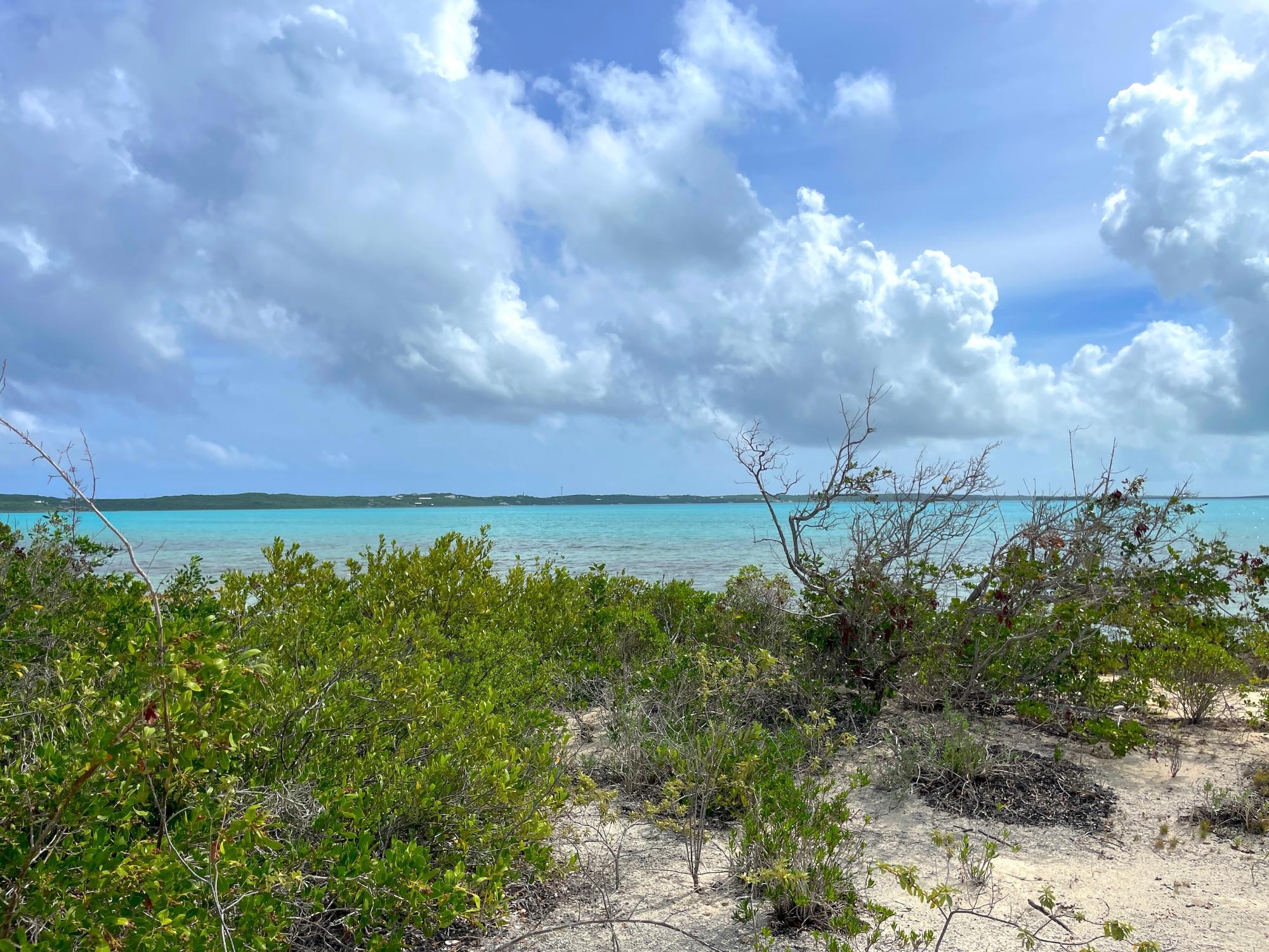 /listing-lots-acreage-in-indian-hole-point-78418.html from Coldwell Banker Bahamas Real Estate