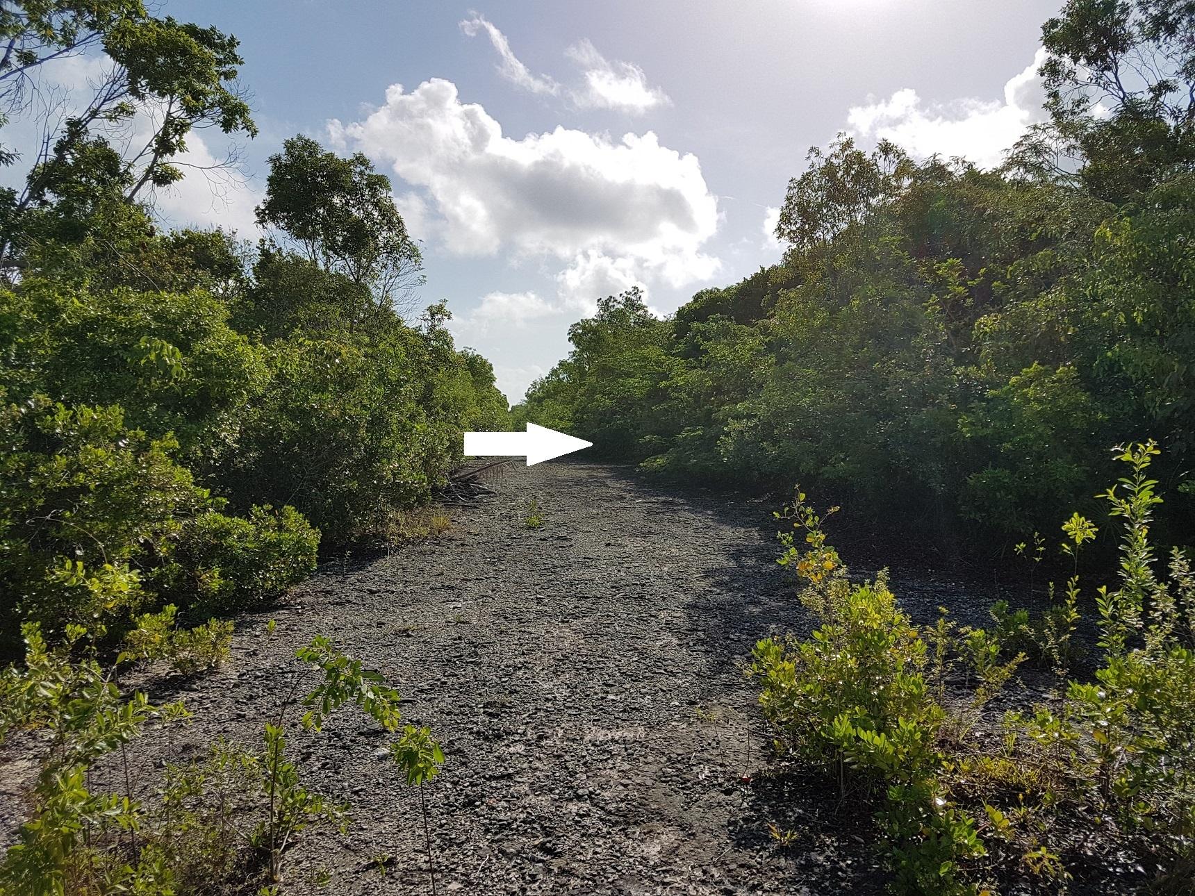 /listing-lots-acreage-in-bahama-sound-78256.html from Coldwell Banker Bahamas Real Estate