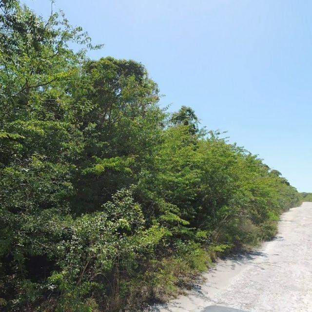 /listing-lots-acreage-in-bahama-sound-78334.html from Coldwell Banker Bahamas Real Estate
