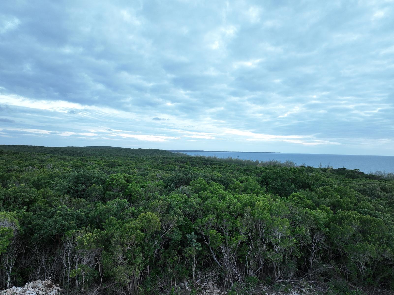 /listing-lots-acreage-in-savannah-sound-78360.html from Coldwell Banker Bahamas Real Estate